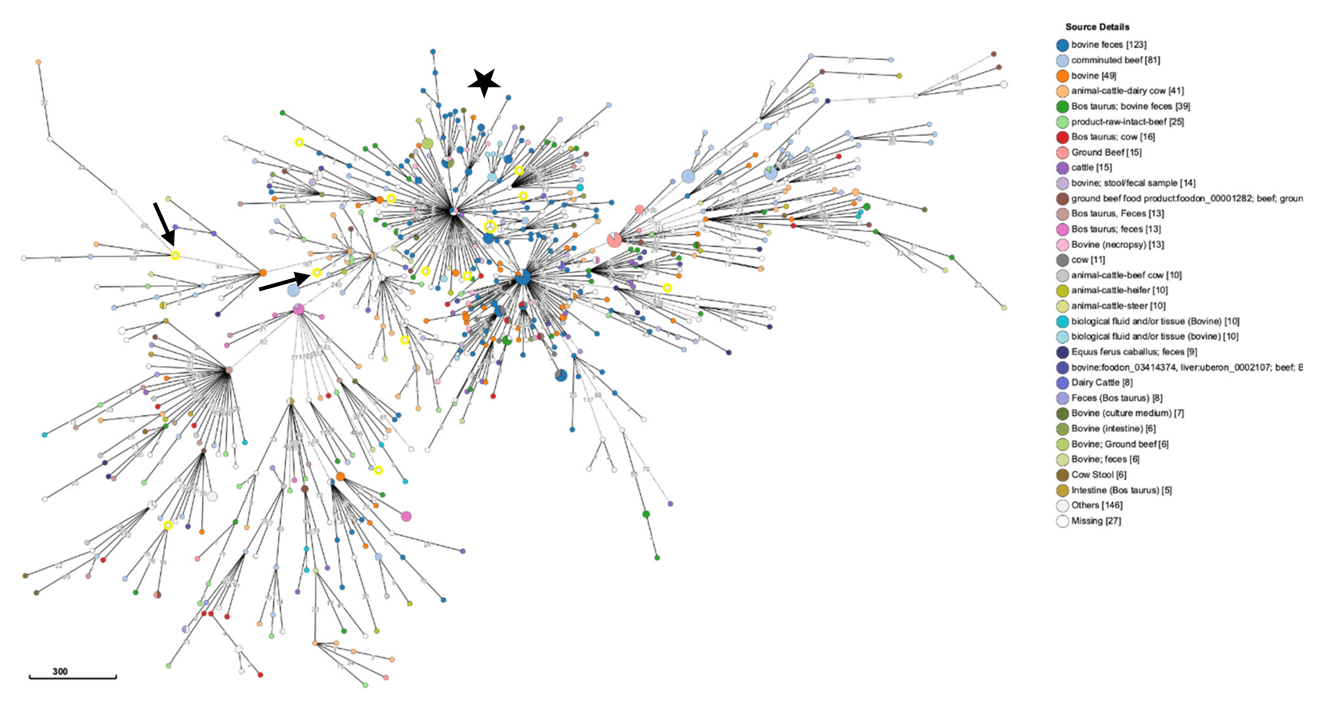 Pathogens 10 00529 g005 Pathogens 10 00529 g005