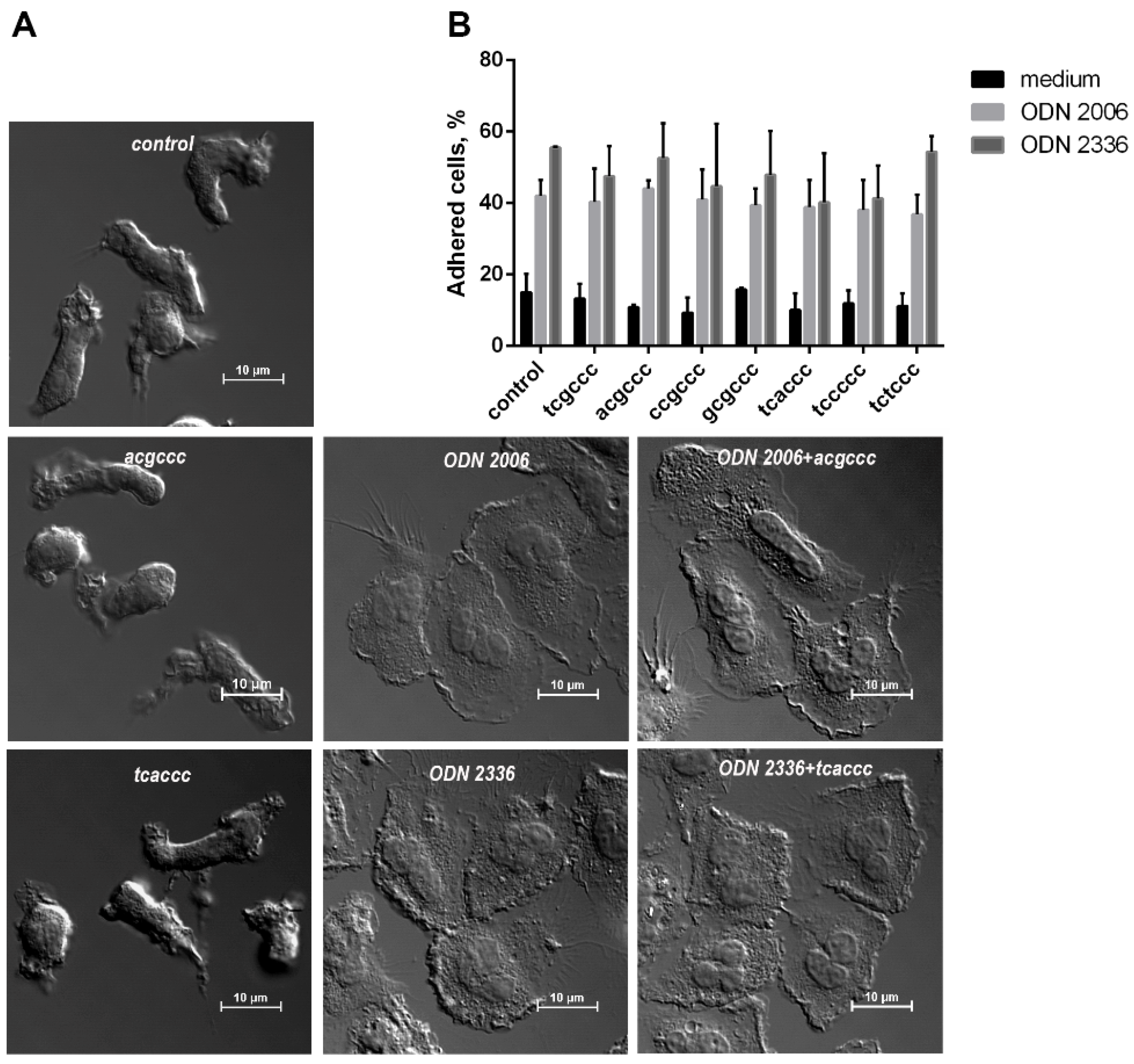 Pathogens 10 00530 g005