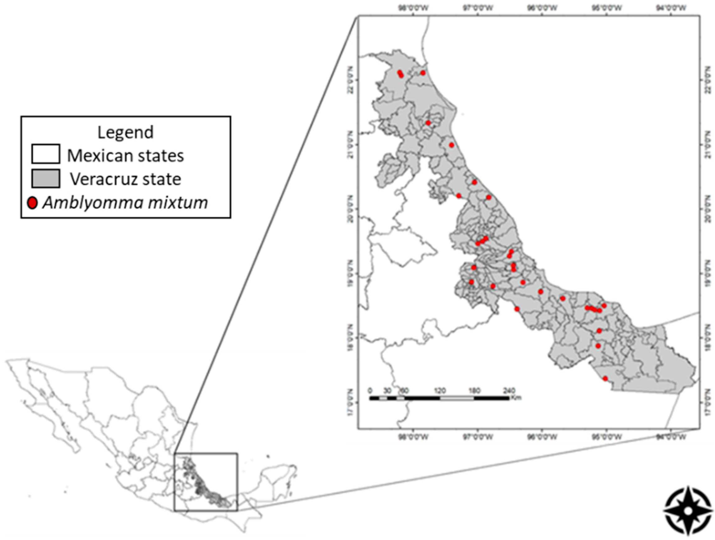 Pathogens 10 00533 g003