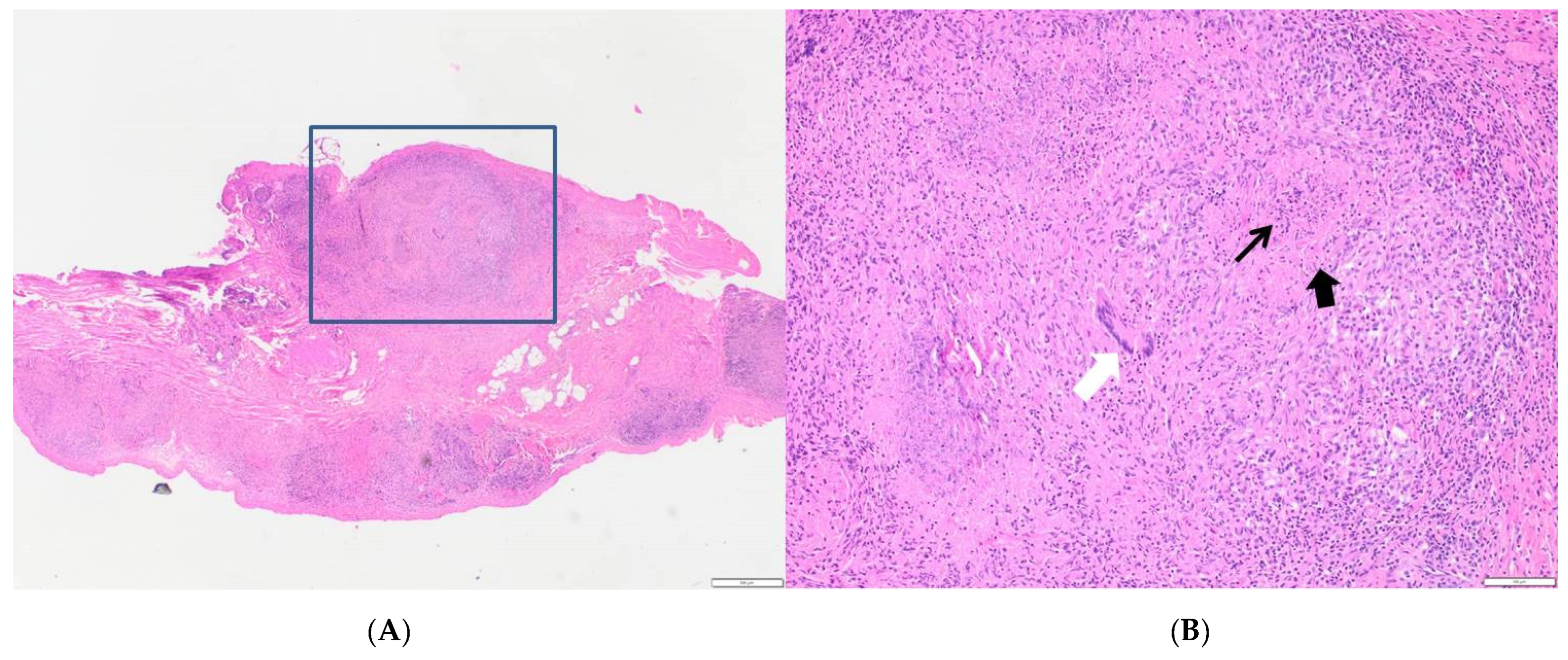 Pathogens 10 00535 g003