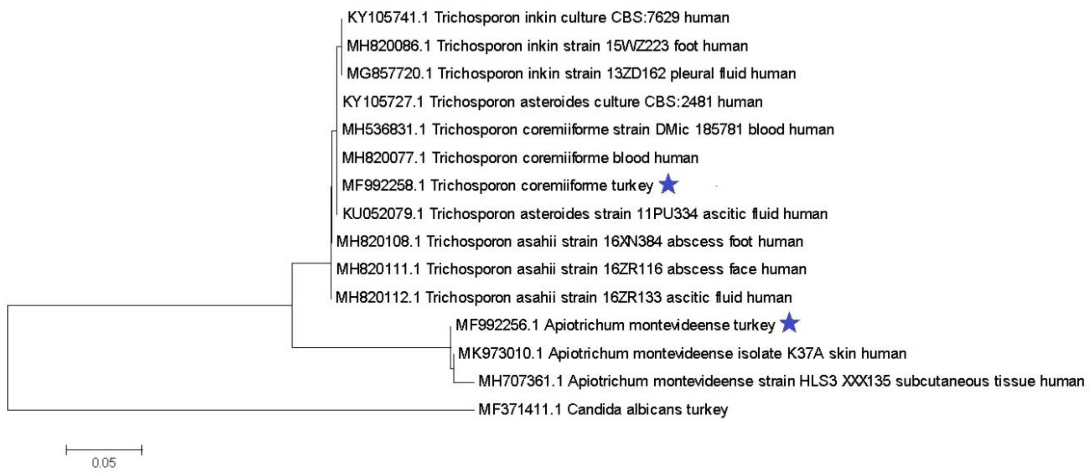 Pathogens 10 00538 g001 Pathogens 10 00538 g001