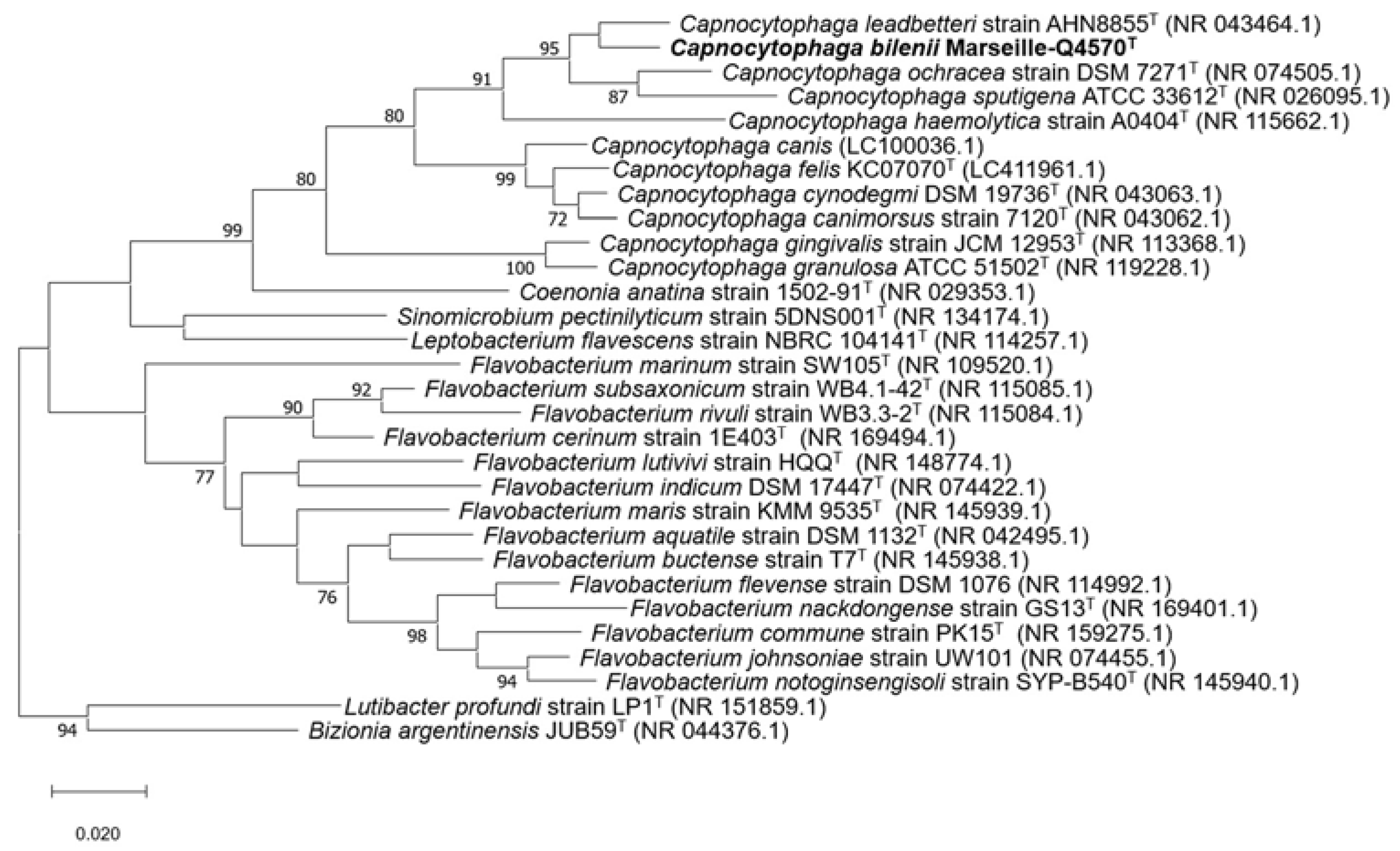 Pathogens 10 00547 g002