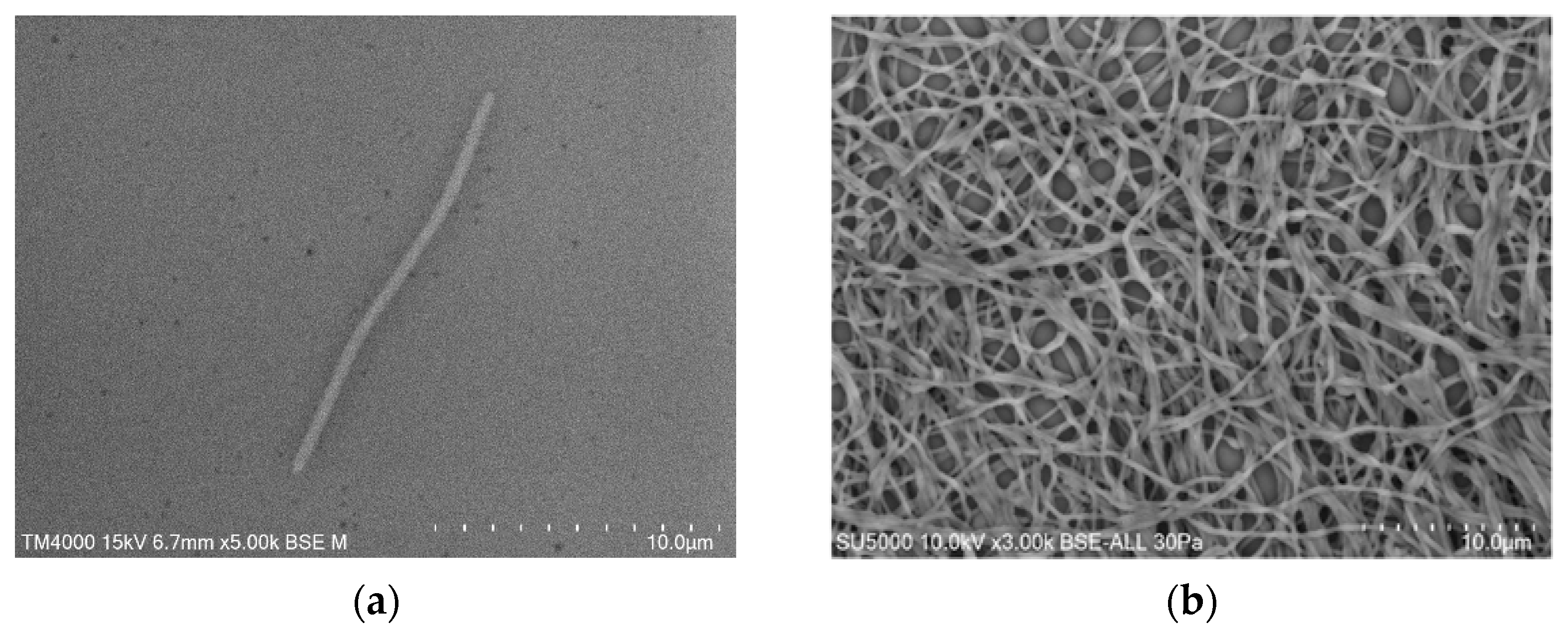 Pathogens 10 00547 g003