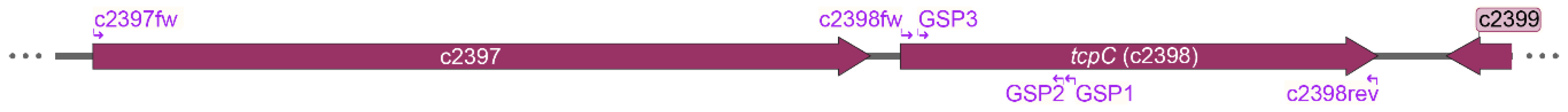Pathogens 10 00549 g012 Pathogens 10 00549 g012