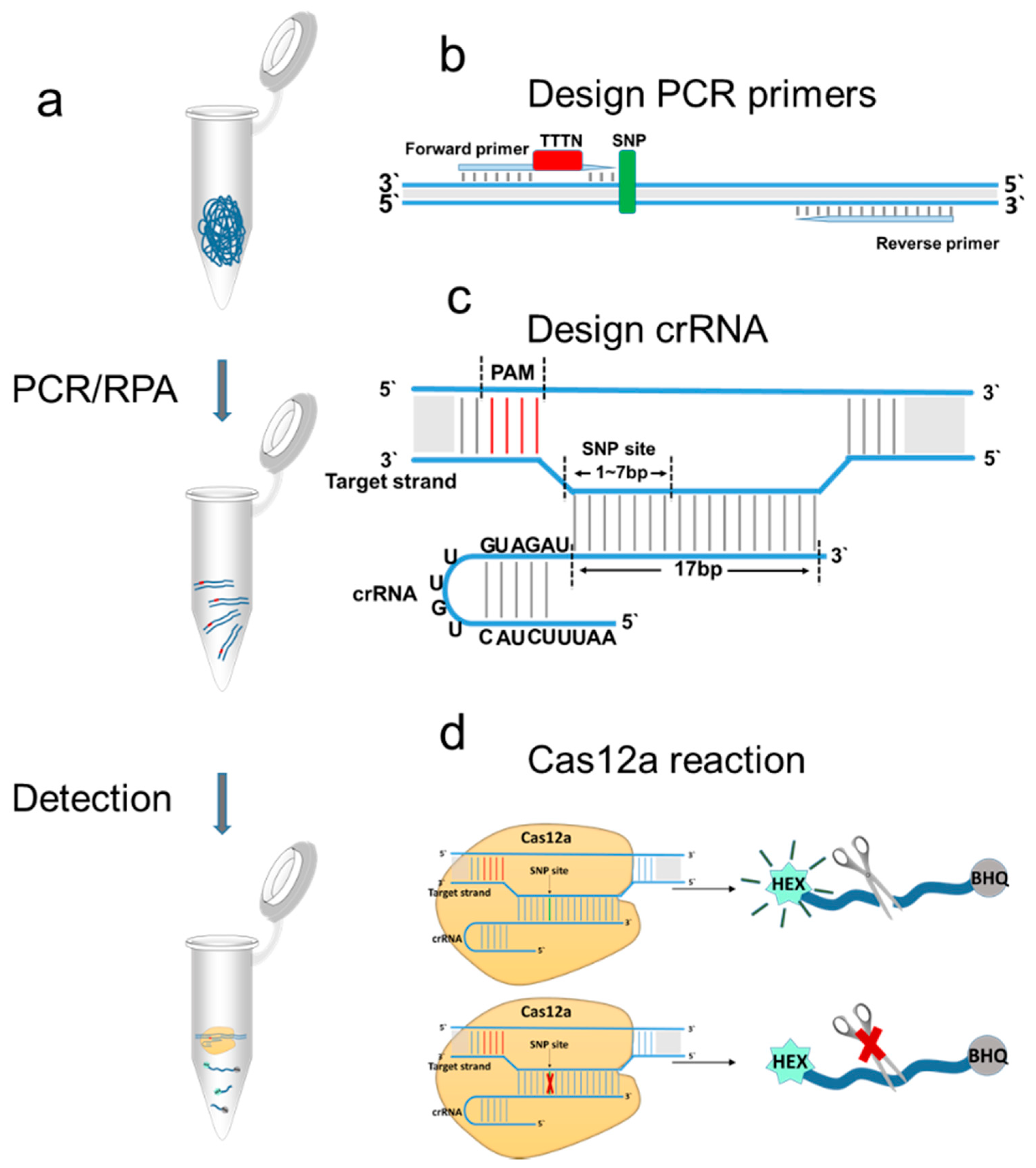 Pathogens 10 00562 g001