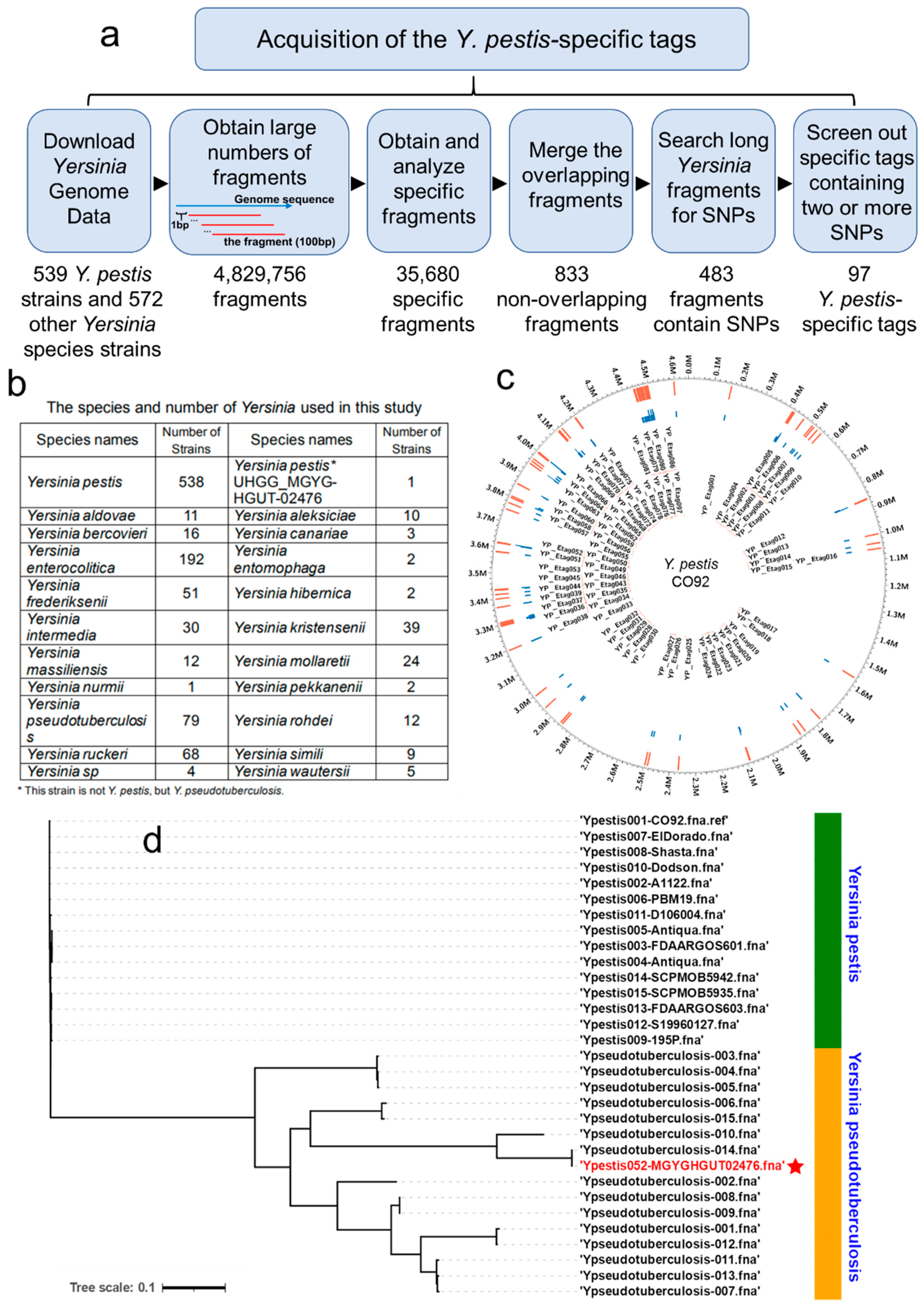 Pathogens 10 00562 g002