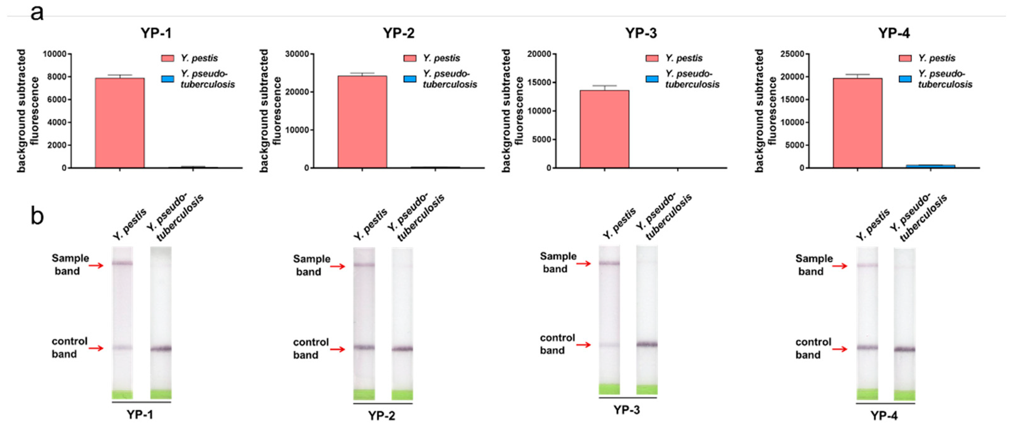 Pathogens 10 00562 g006