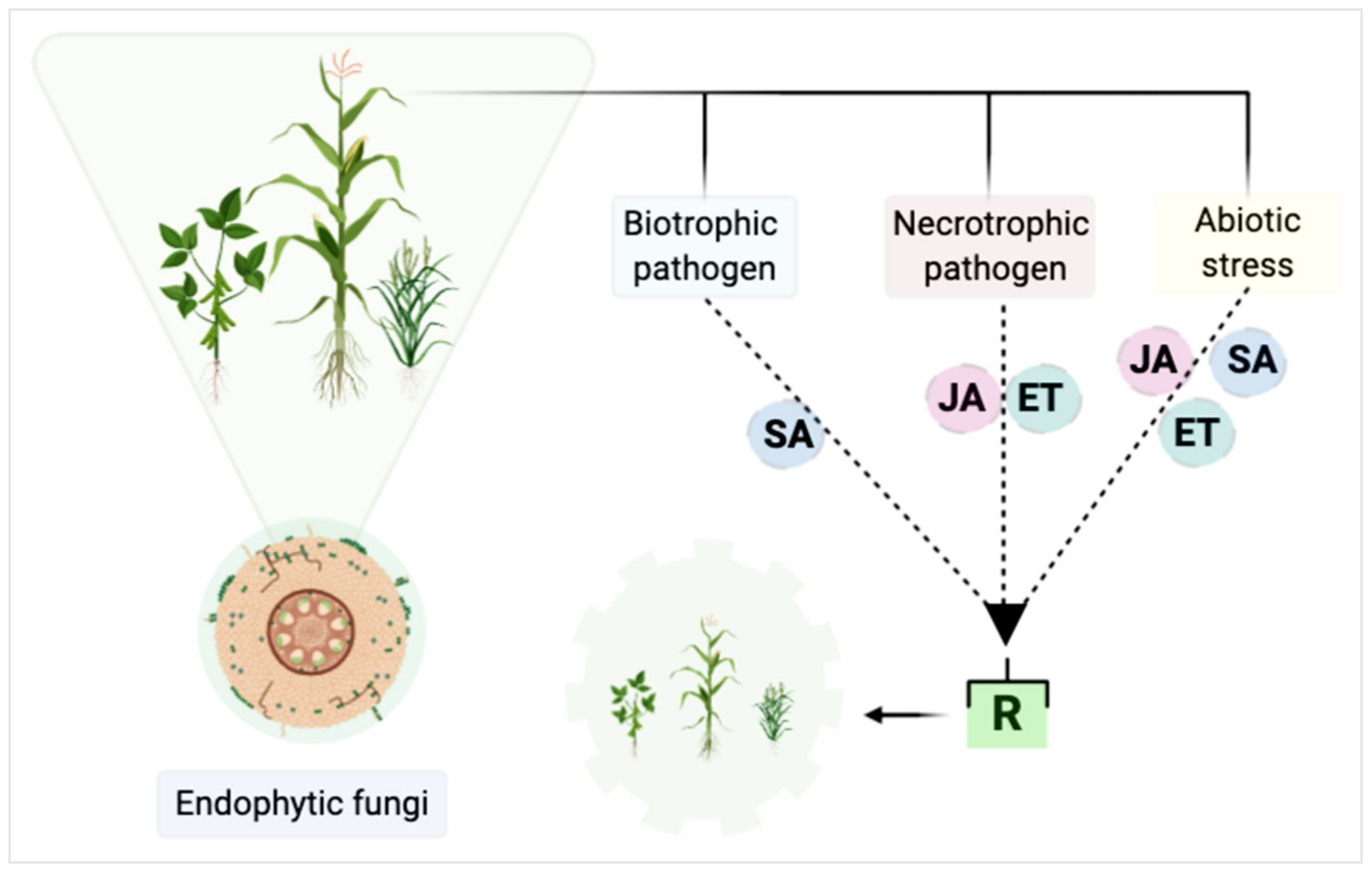 Pathogens 10 00570 g002