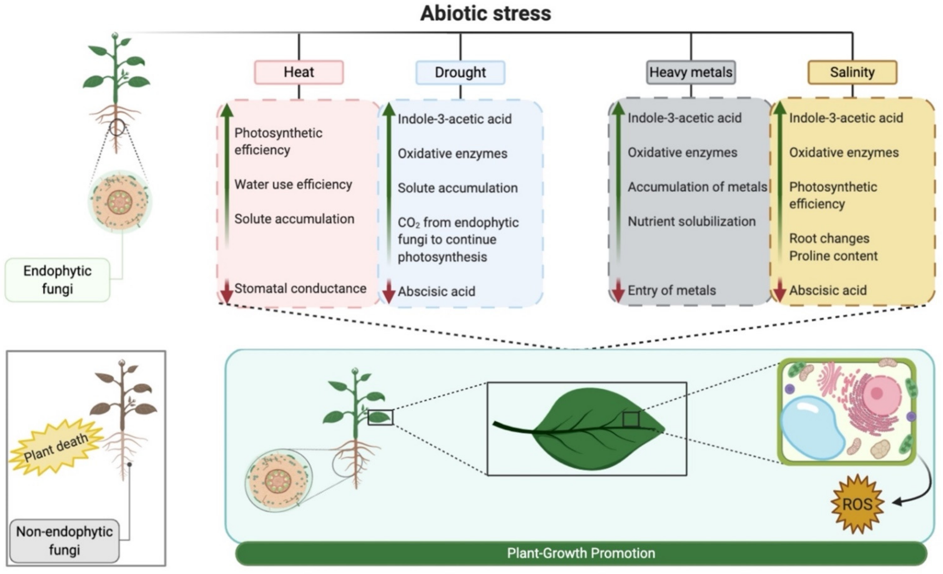 Pathogens 10 00570 g003