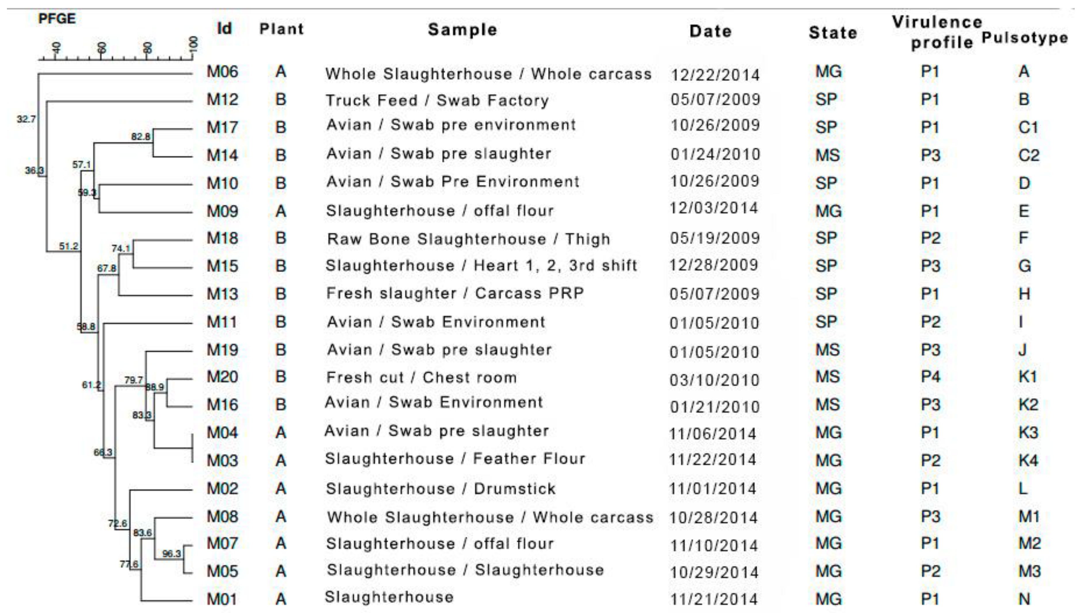 Pathogens 10 00581 g003