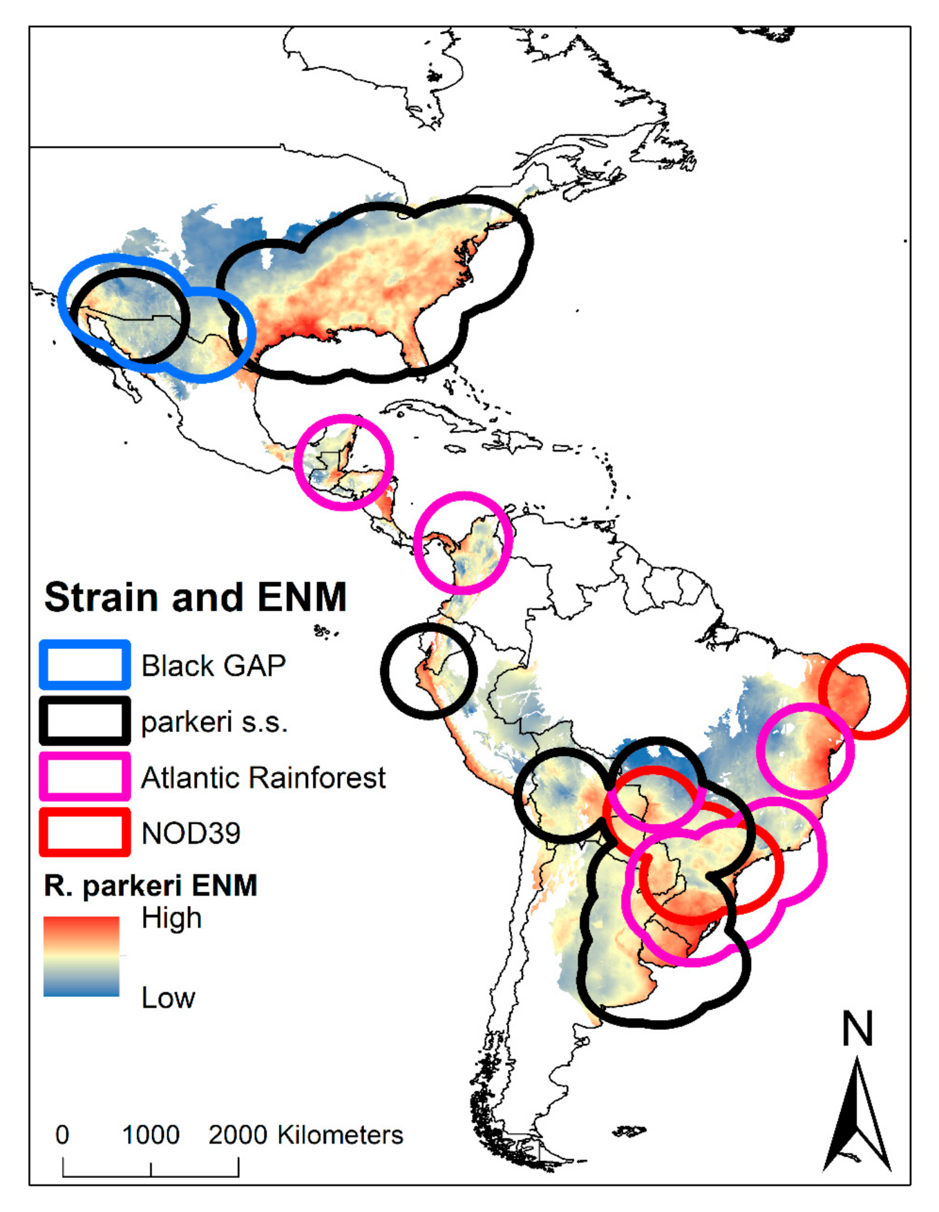 Pathogens 10 00592 g003 Pathogens 10 00592 g003