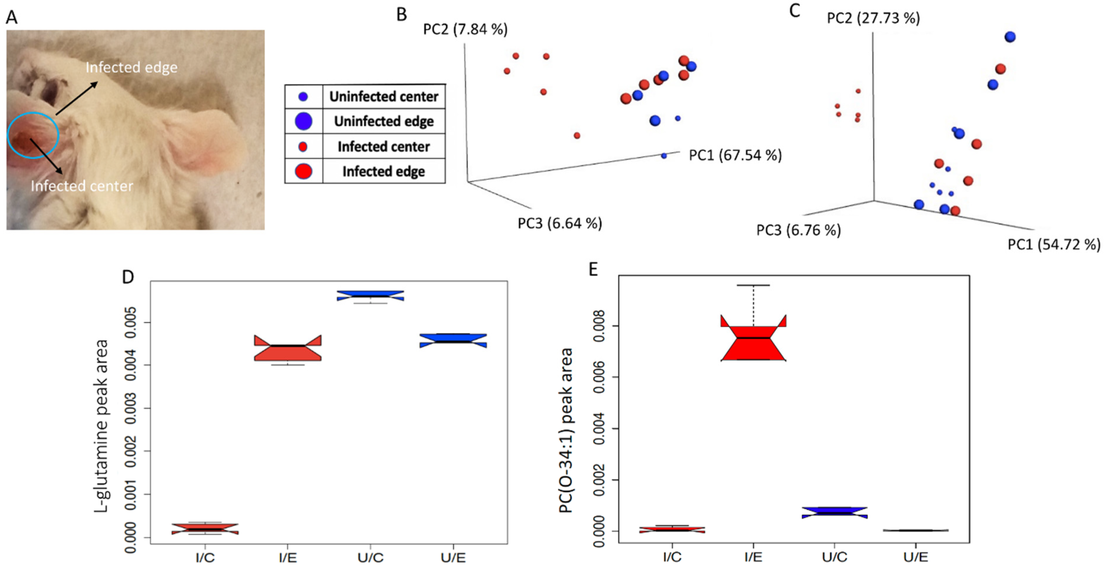 Pathogens 10 00593 g001 Pathogens 10 00593 g001