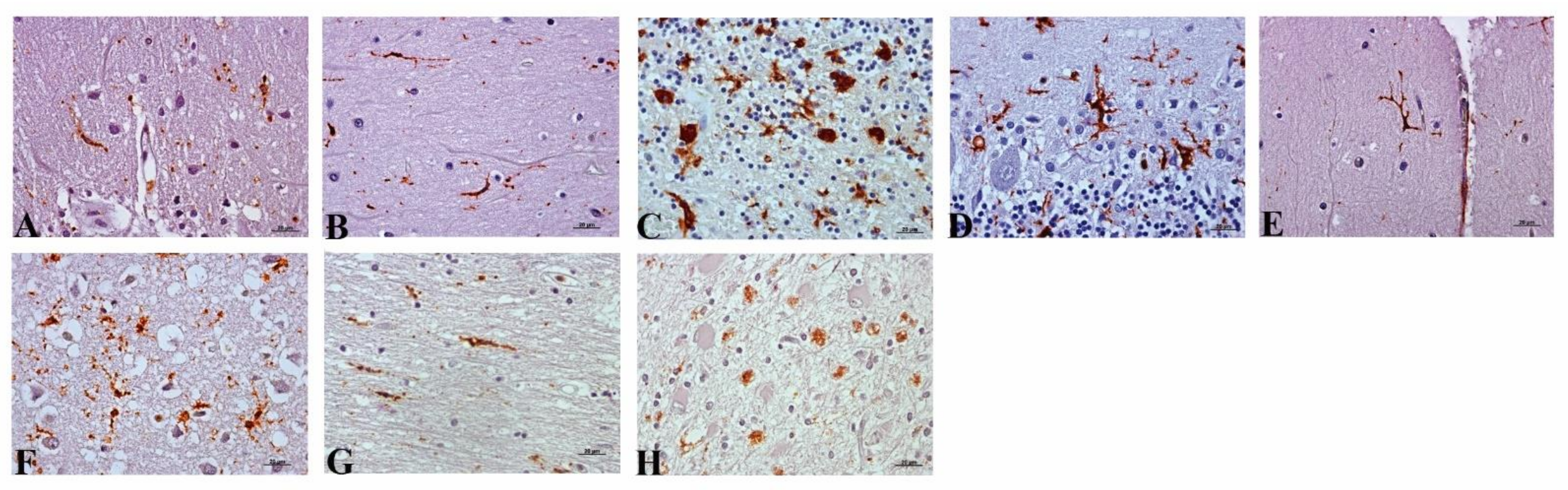 Pathogens 10 00596 g007 Pathogens 10 00596 g007