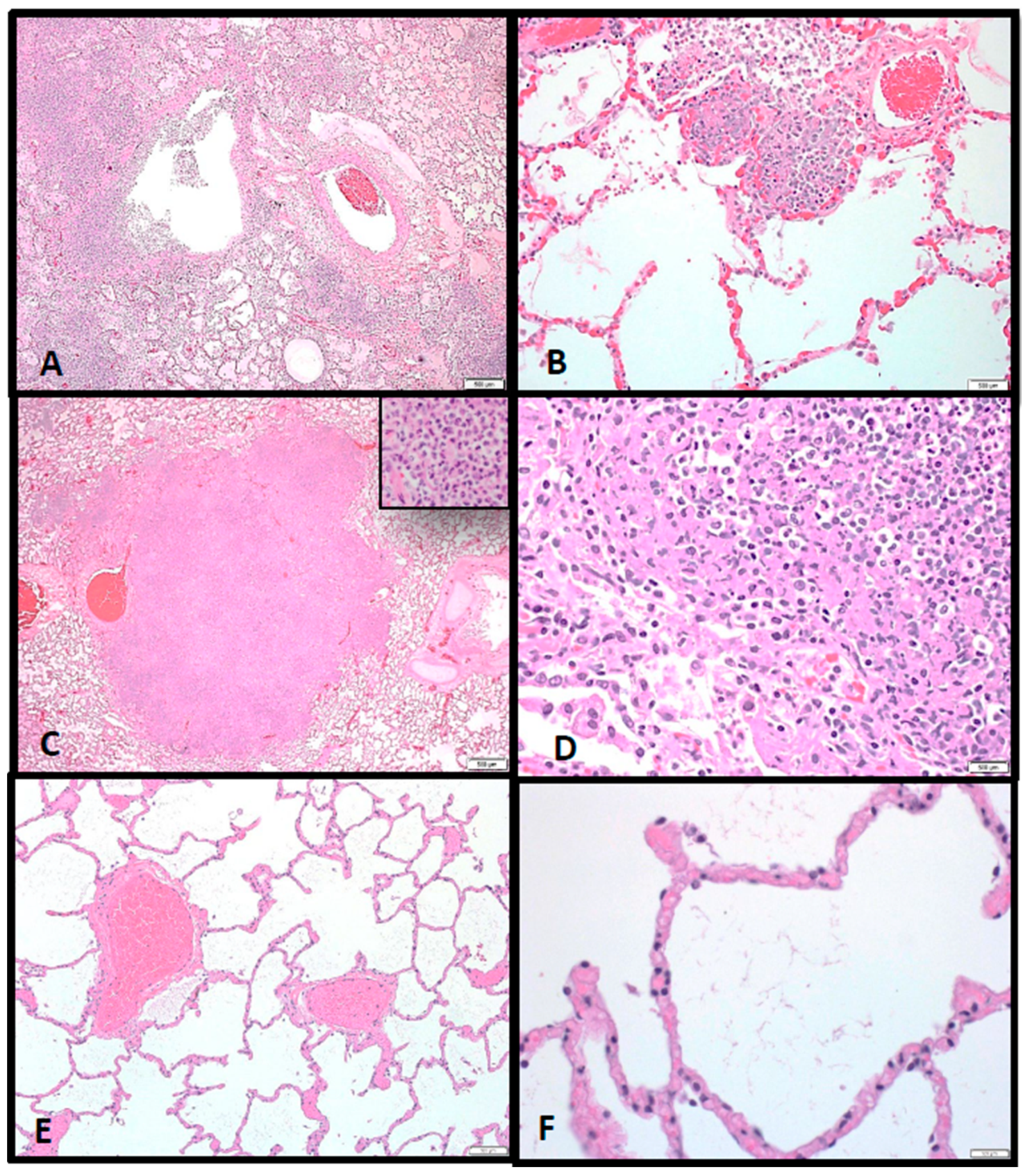 Pathogens 10 00597 g009 Pathogens 10 00597 g009