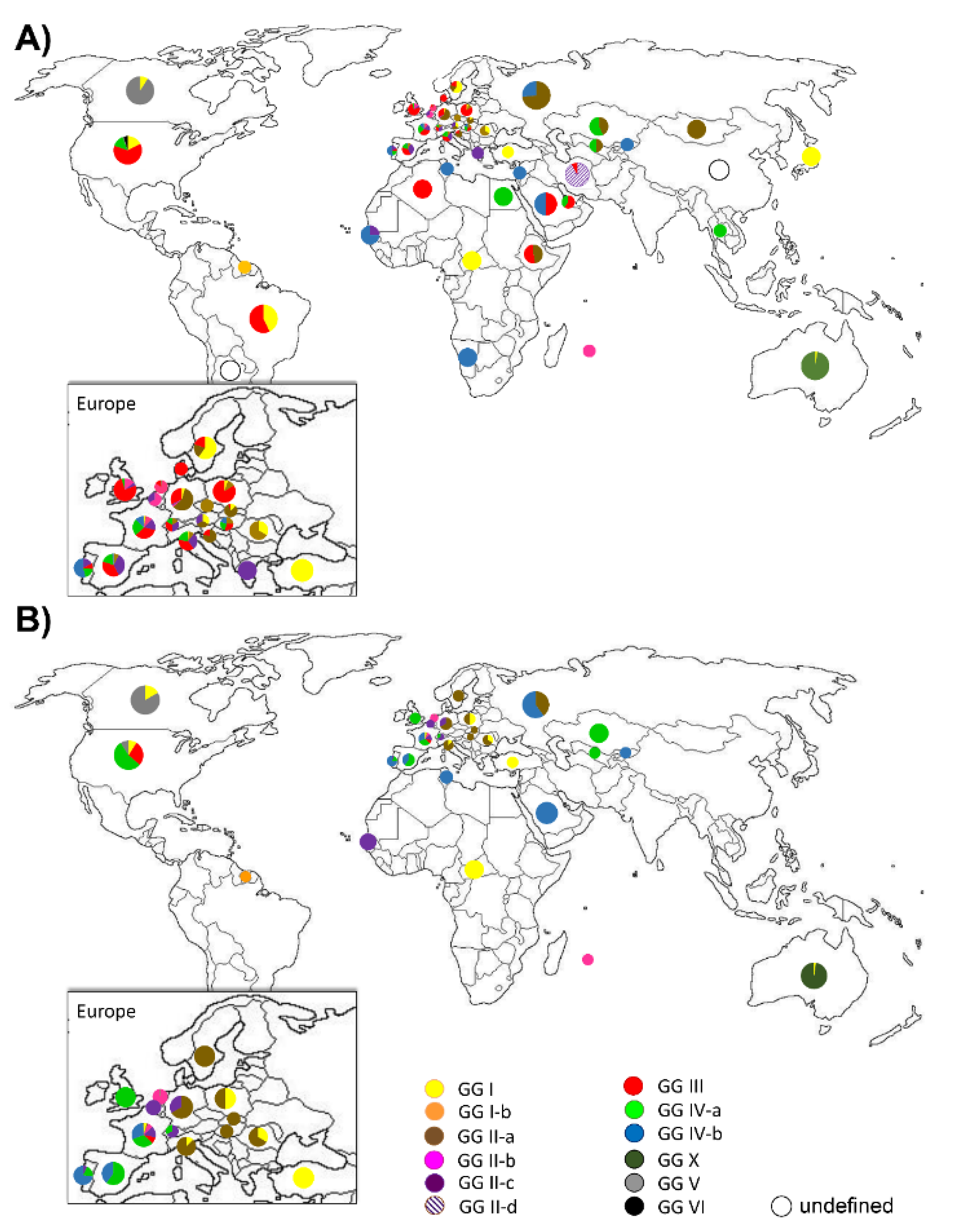 Pathogens 10 00604 g004