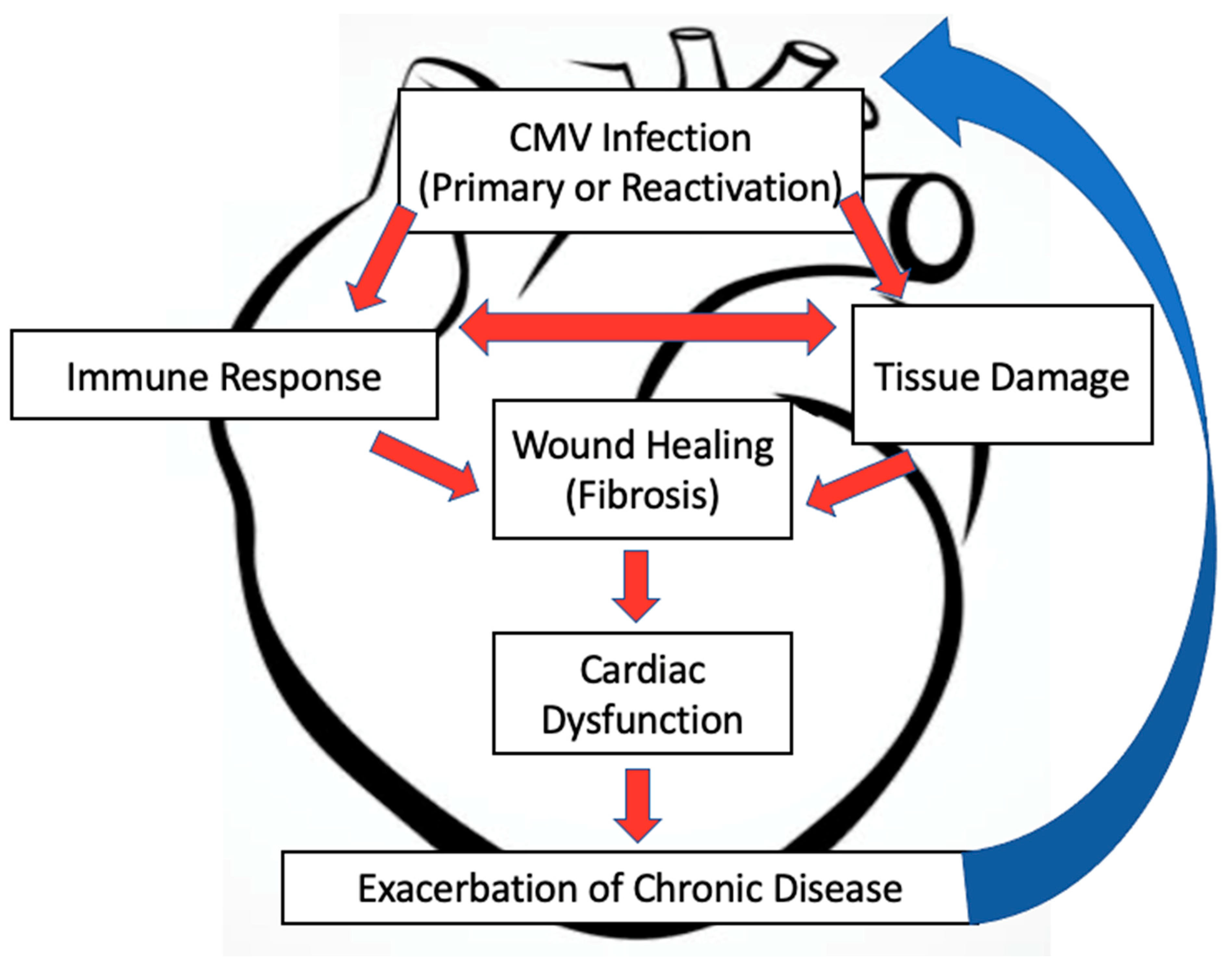 Pathogens 10 00619 g001 Pathogens 10 00619 g001