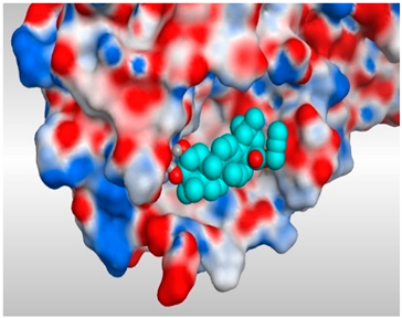 Pathogens 10 00623 i022 Pathogens 10 00623 i022