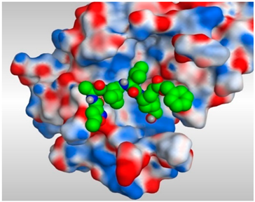 Pathogens 10 00623 i024 Pathogens 10 00623 i024