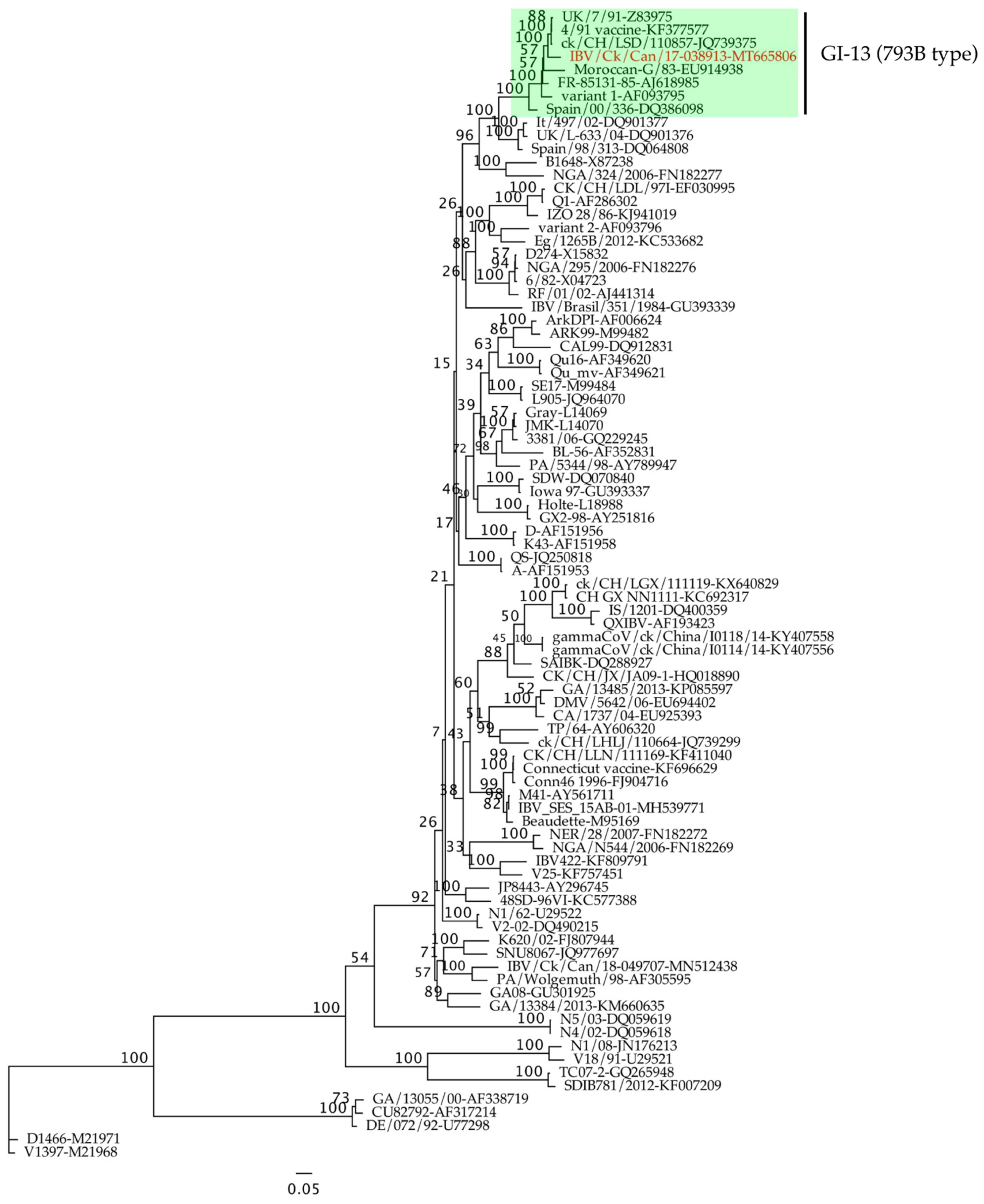 Pathogens 10 00624 g001