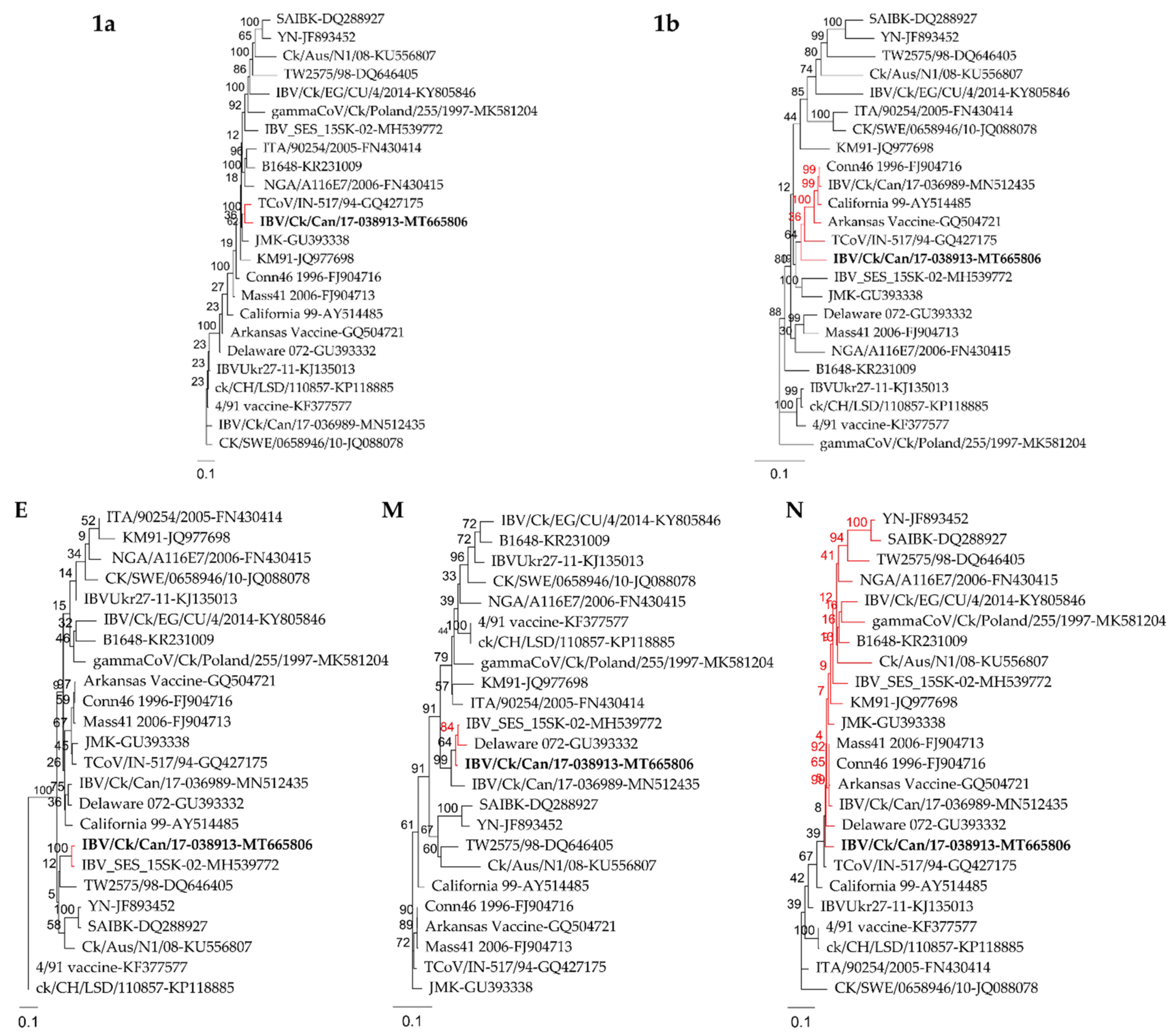 Pathogens 10 00624 g002
