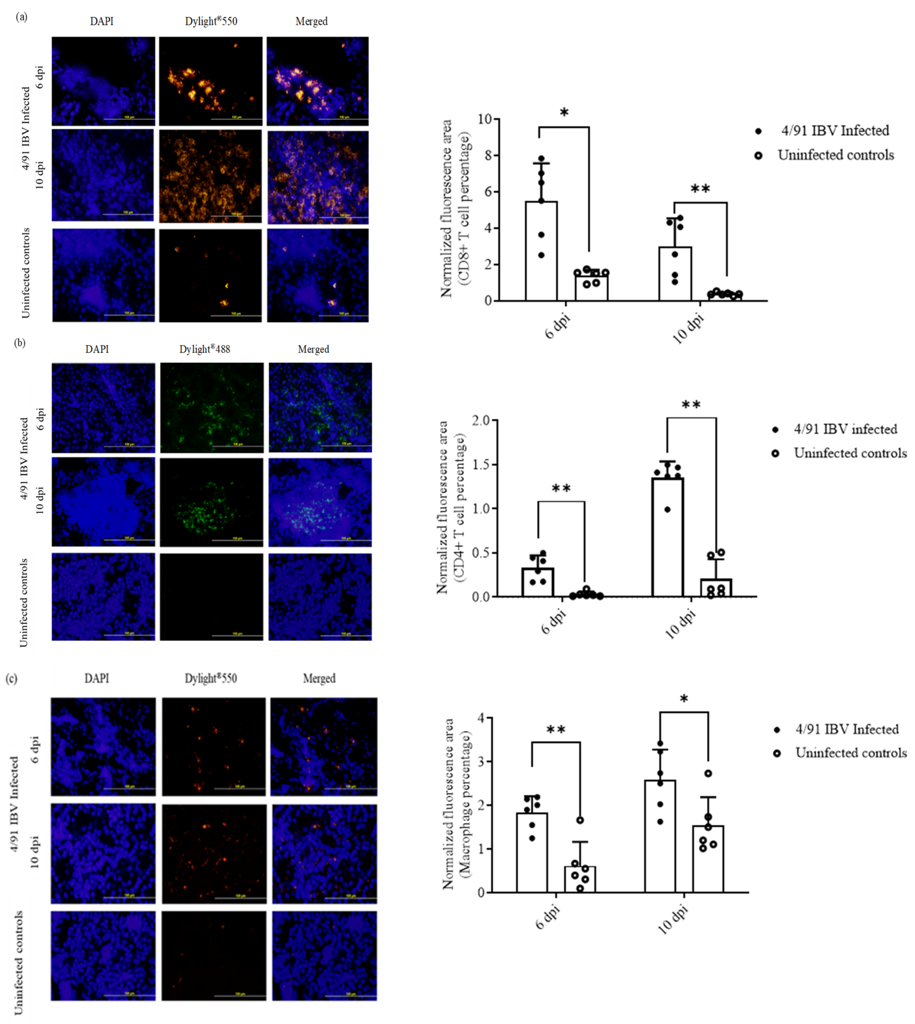 Pathogens 10 00624 g006