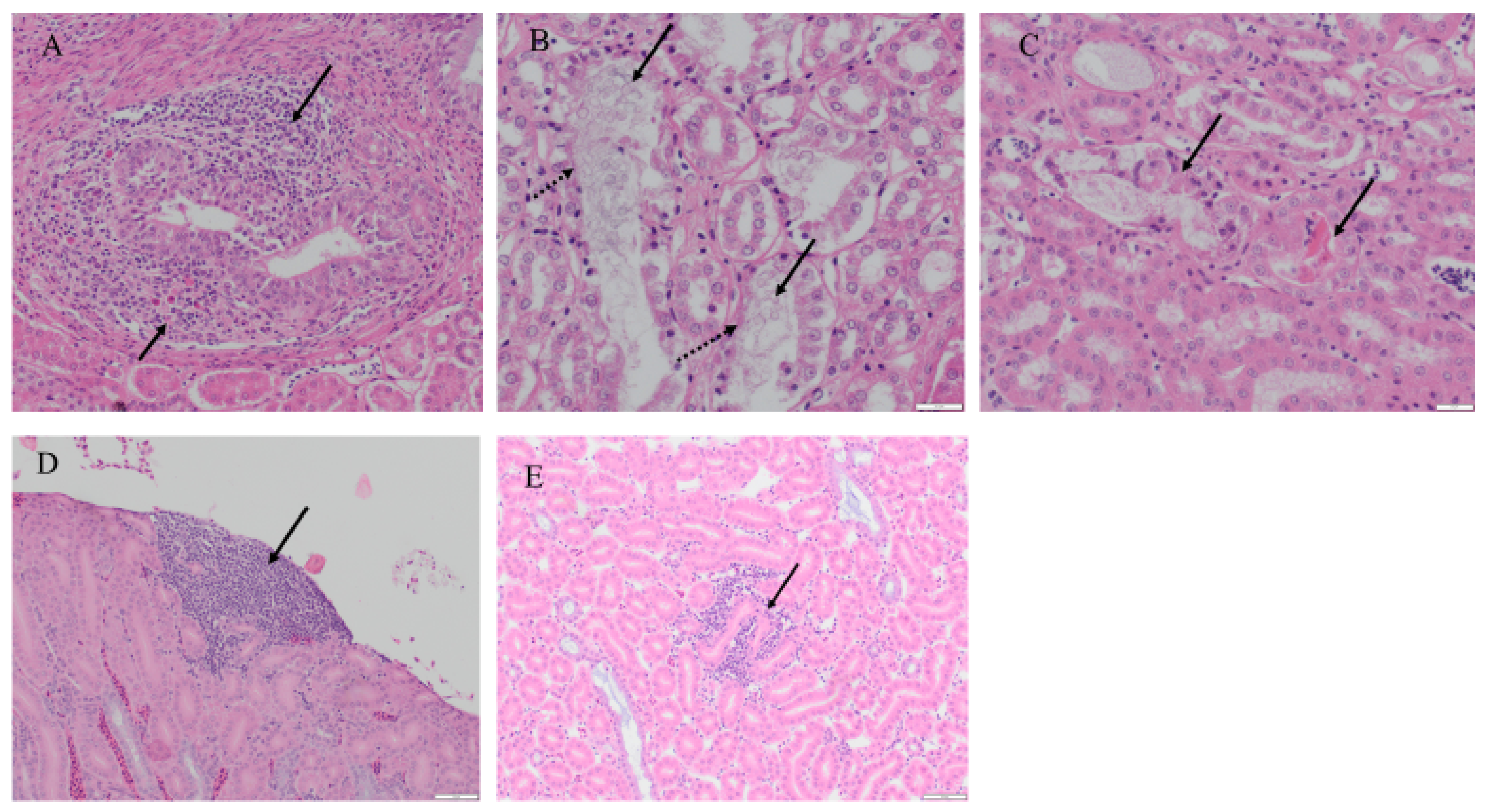 Pathogens 10 00624 g007