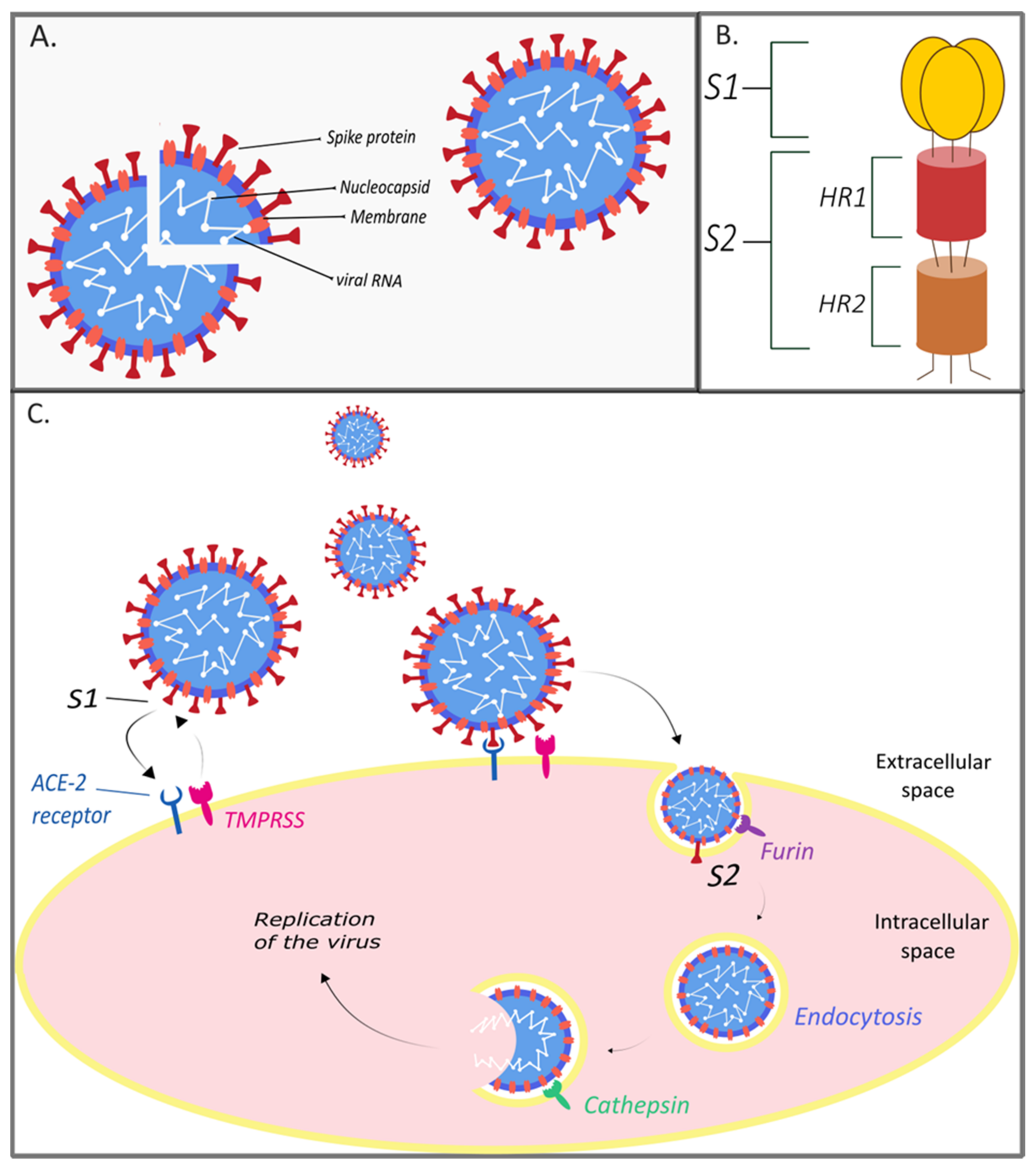 Pathogens 10 00636 g001