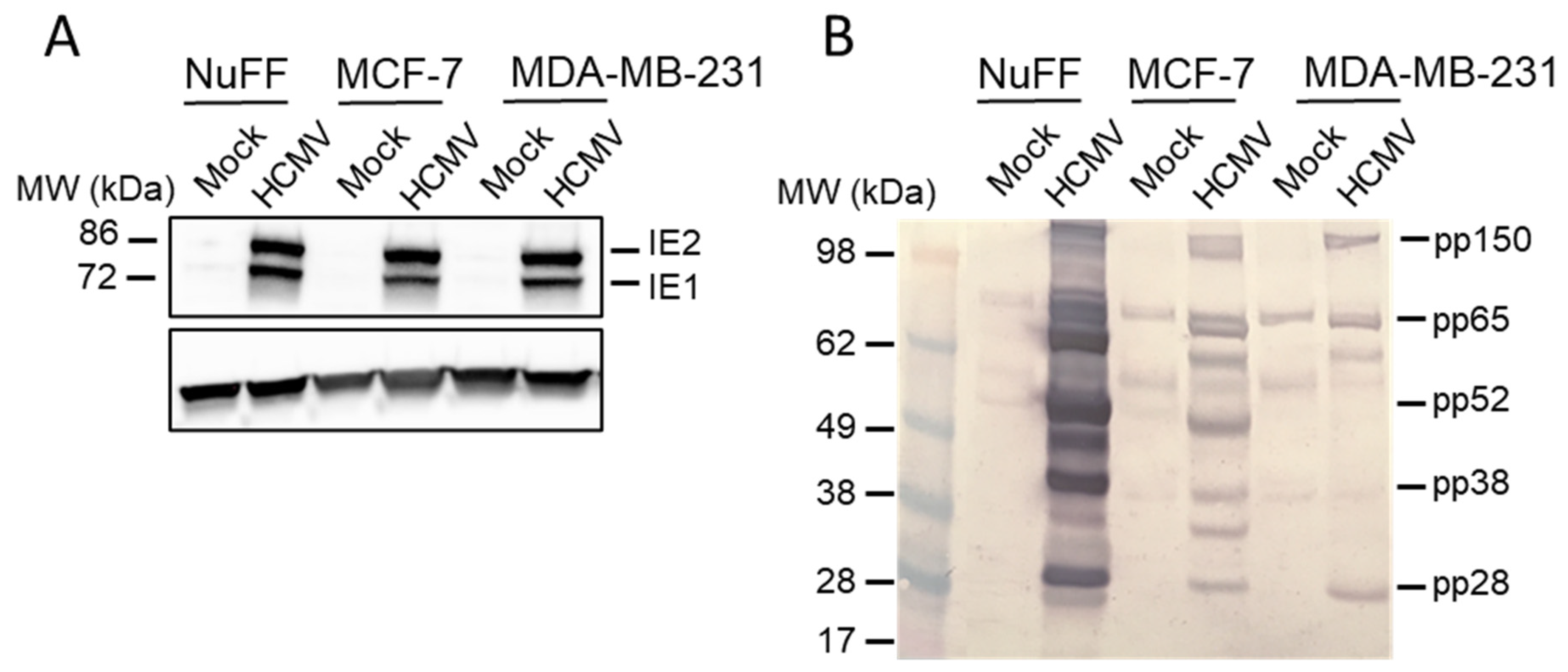 Pathogens 10 00641 g003