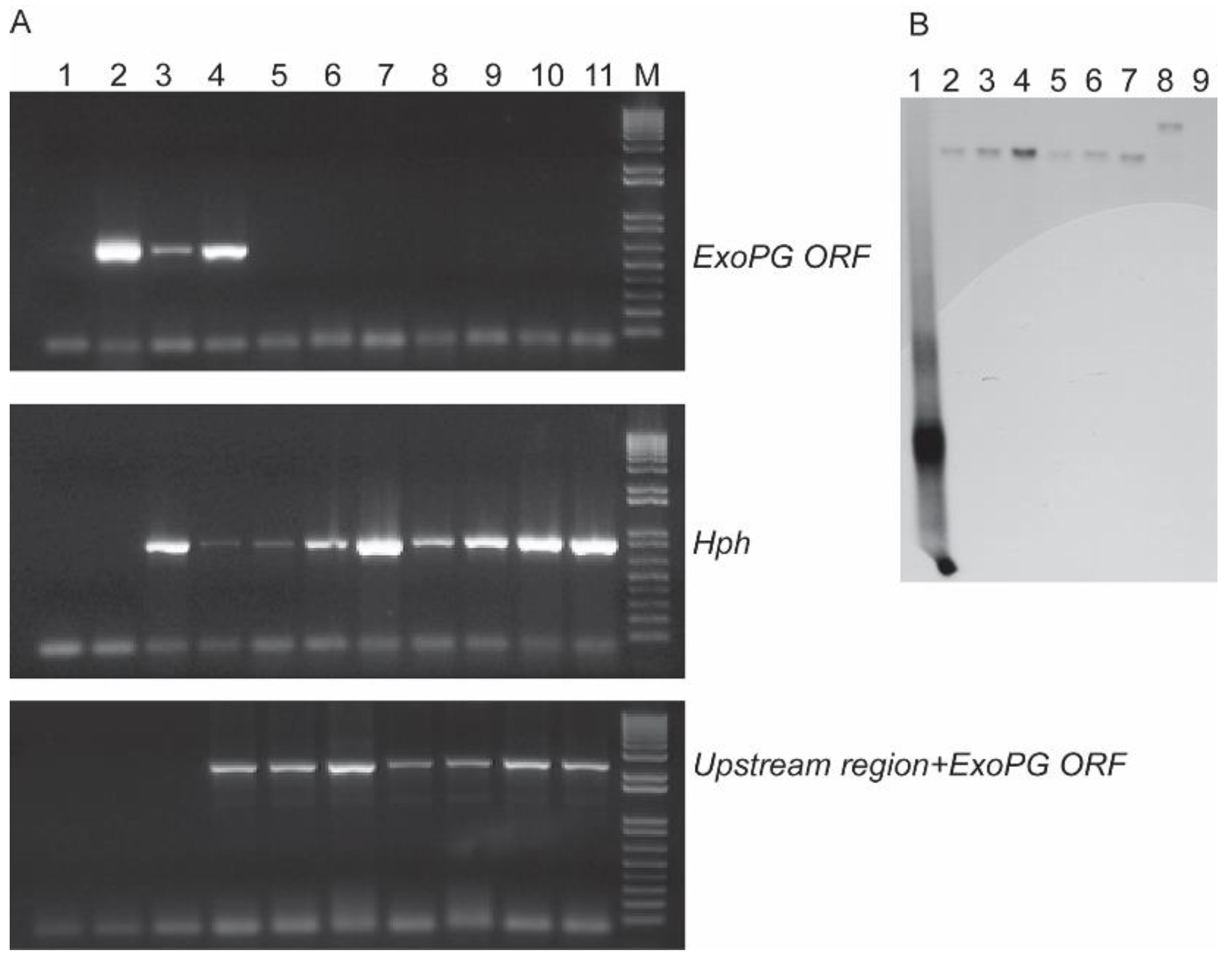 Pathogens 10 00642 g004