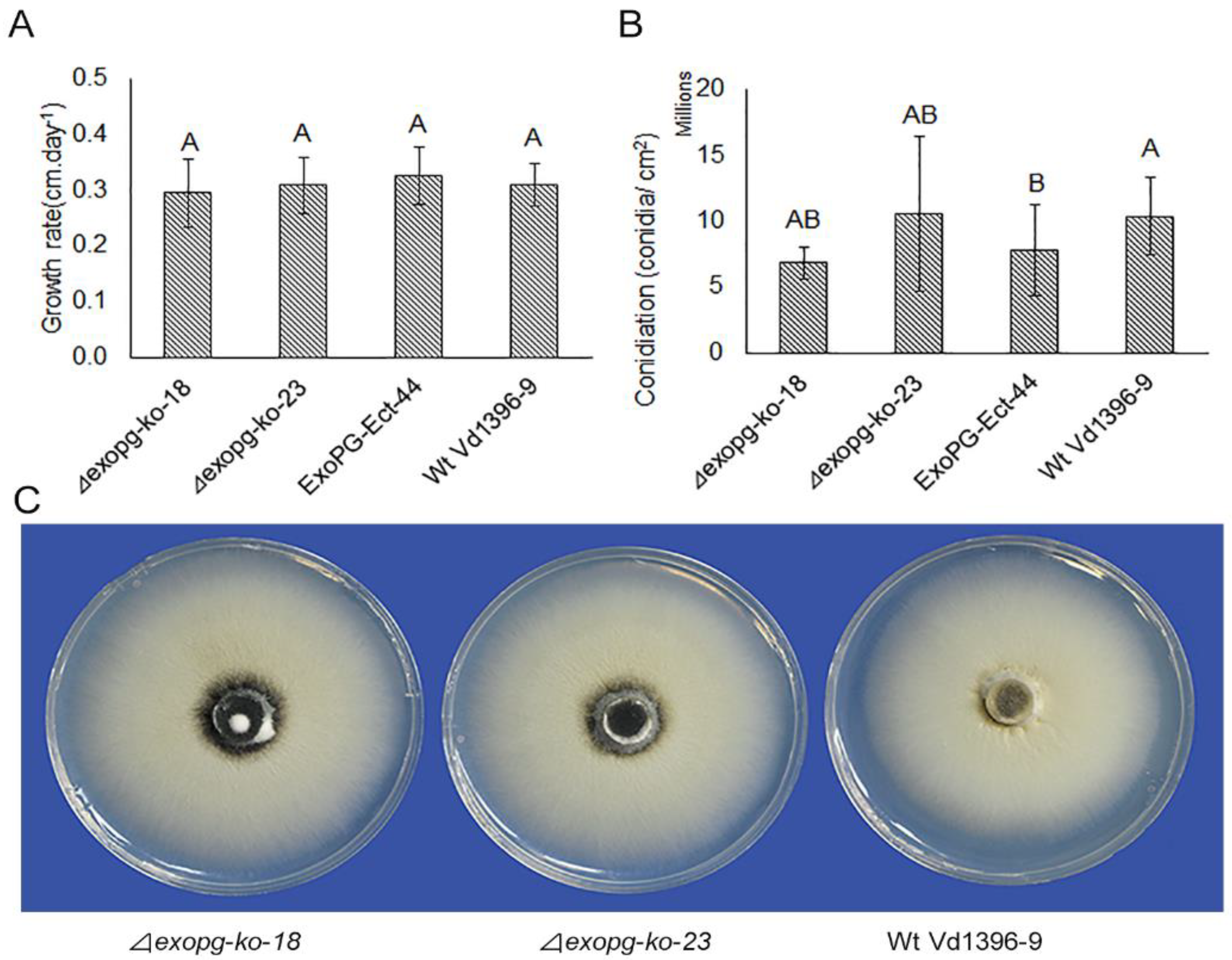 Pathogens 10 00642 g005