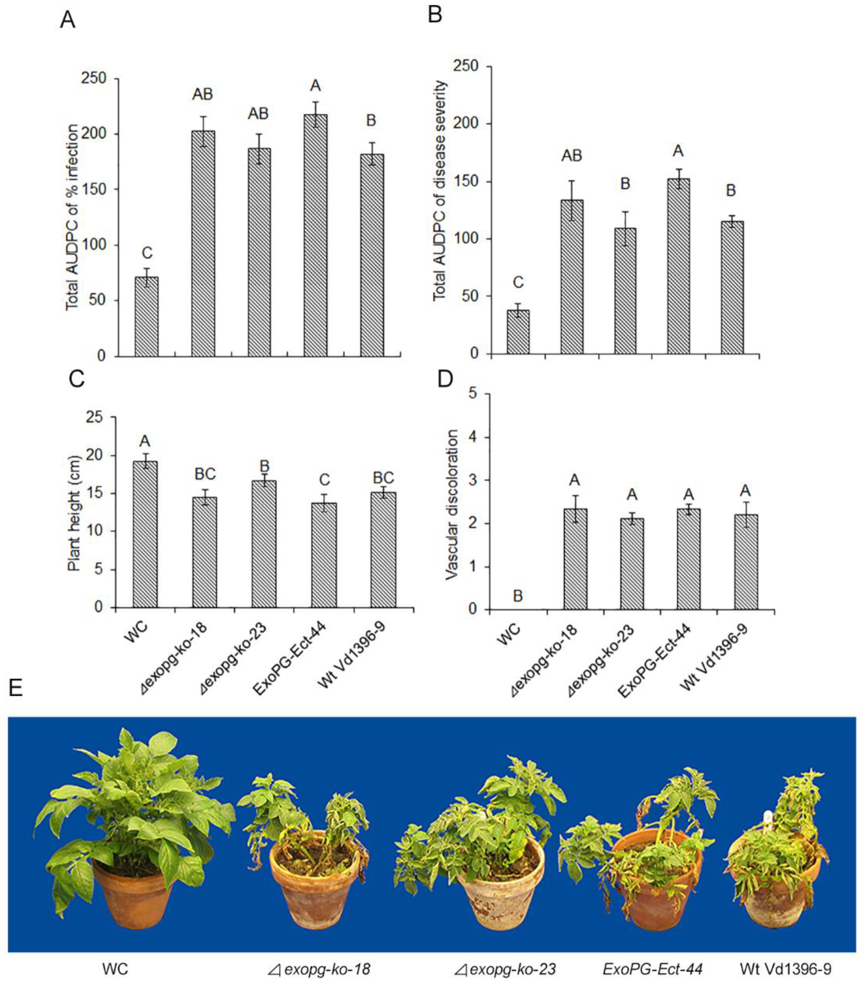 Pathogens 10 00642 g006