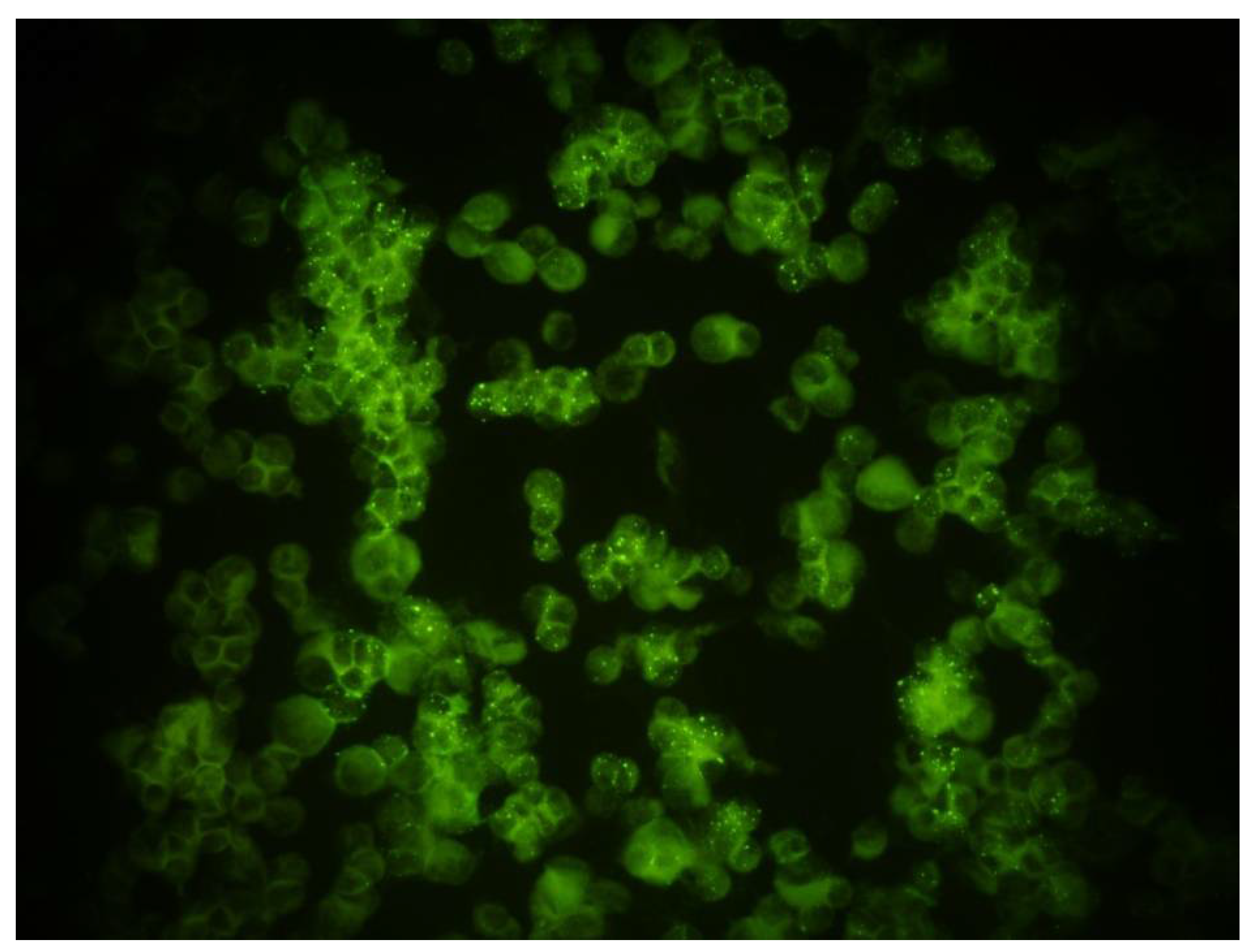 Pathogens 10 00663 g002 Pathogens 10 00663 g002