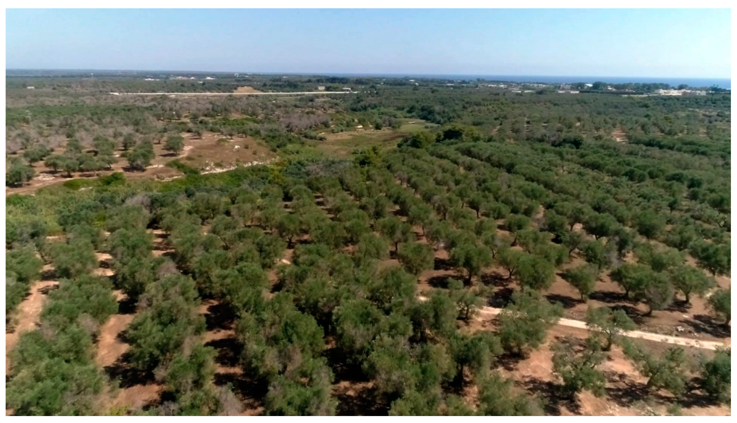 Pathogens 10 00668 g002