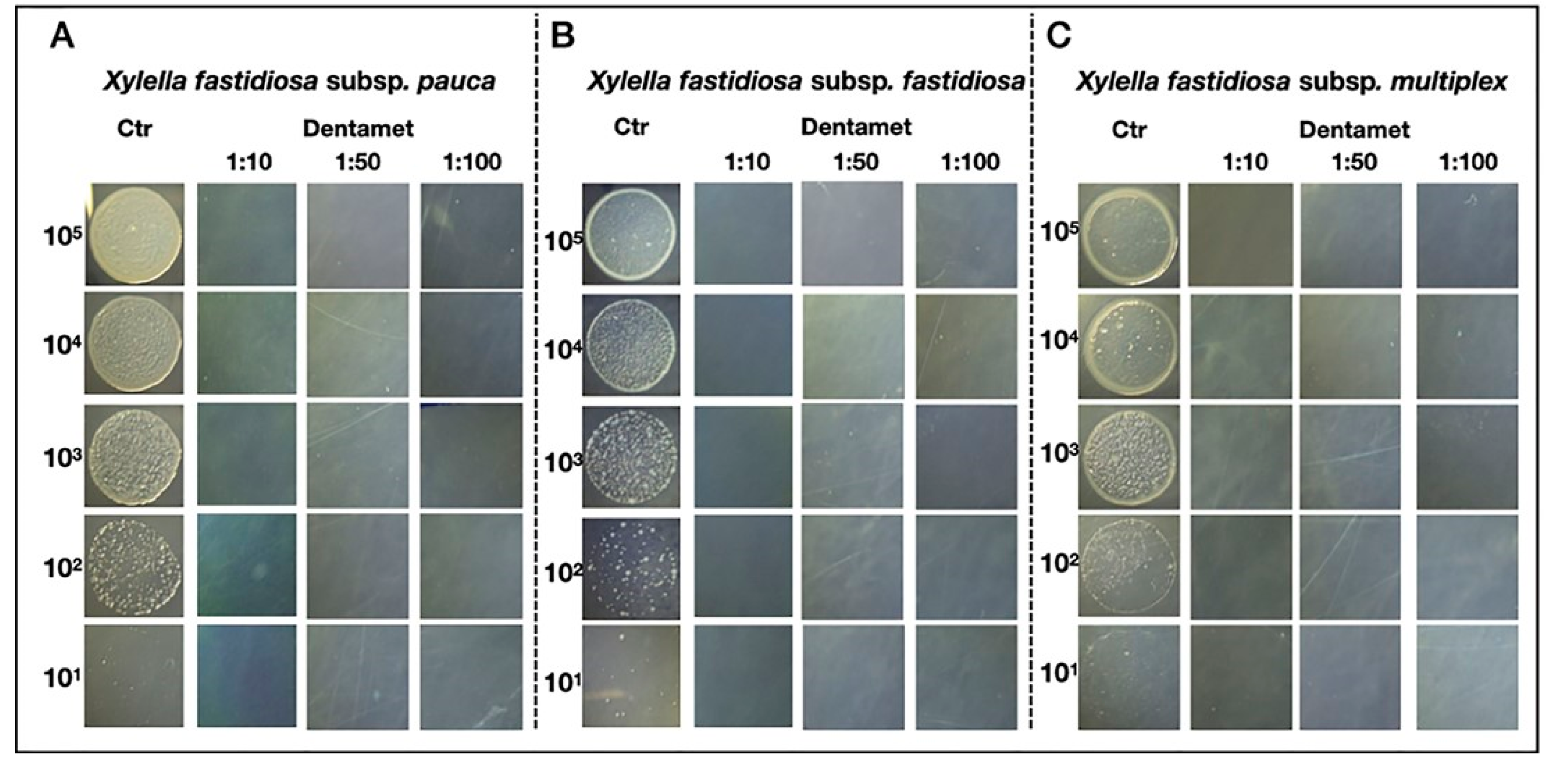 Pathogens 10 00668 g003