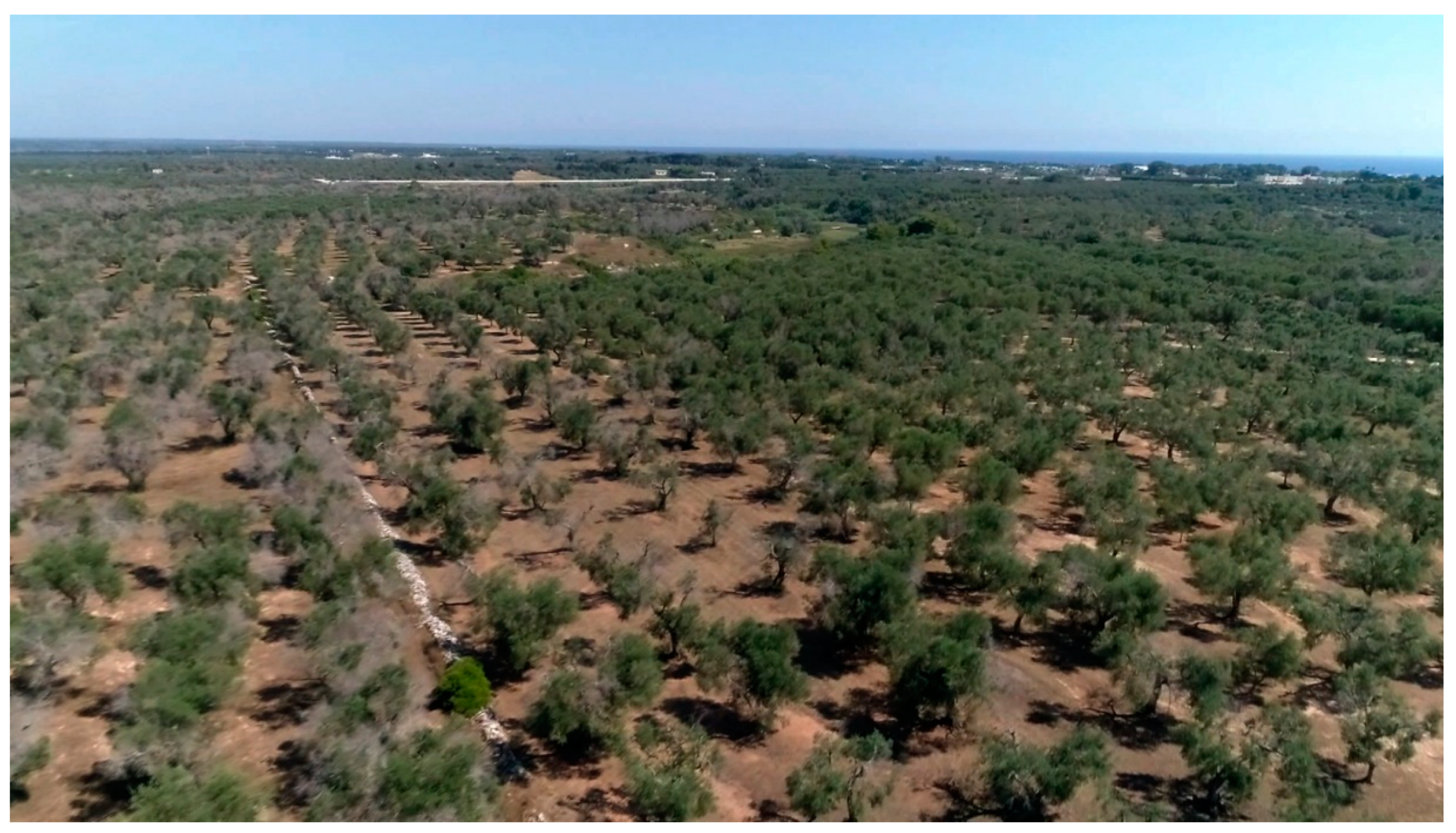 Pathogens 10 00668 g014