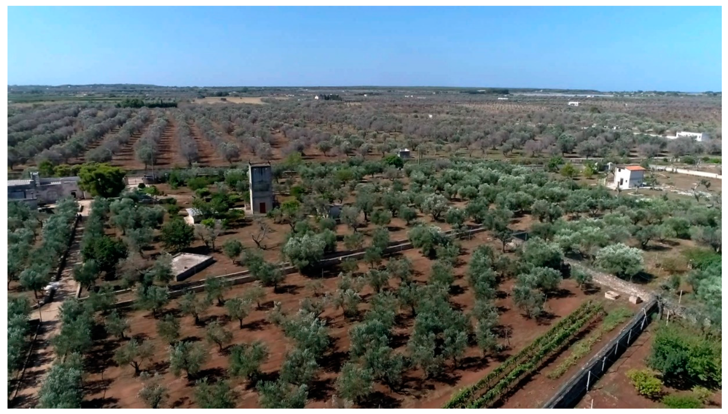 Pathogens 10 00668 g015