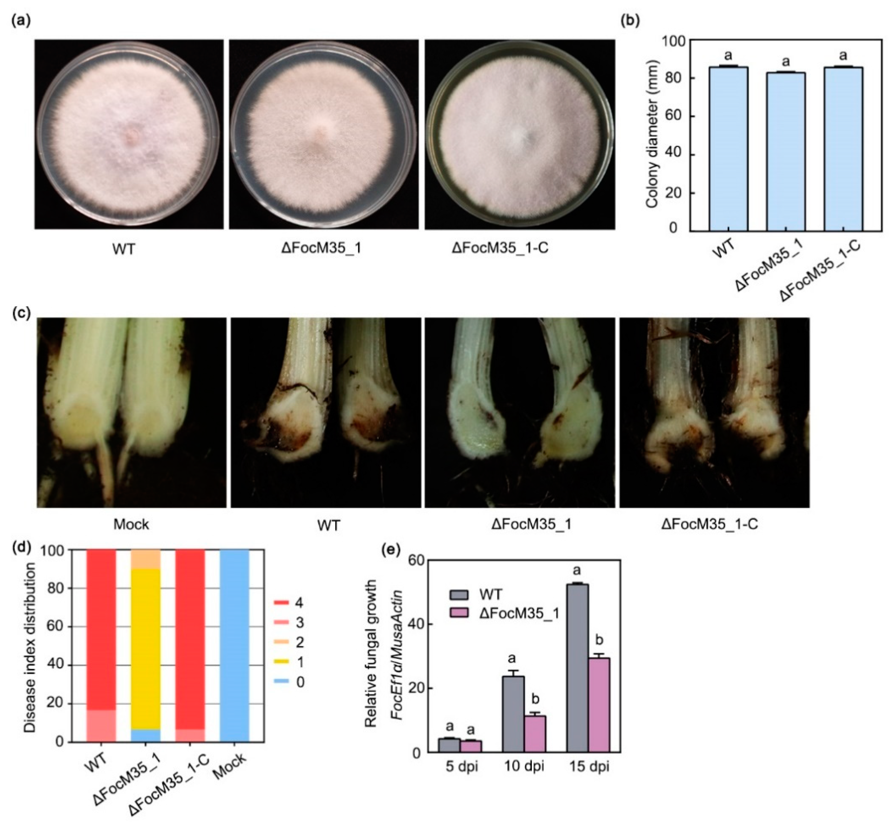 Pathogens 10 00670 g003