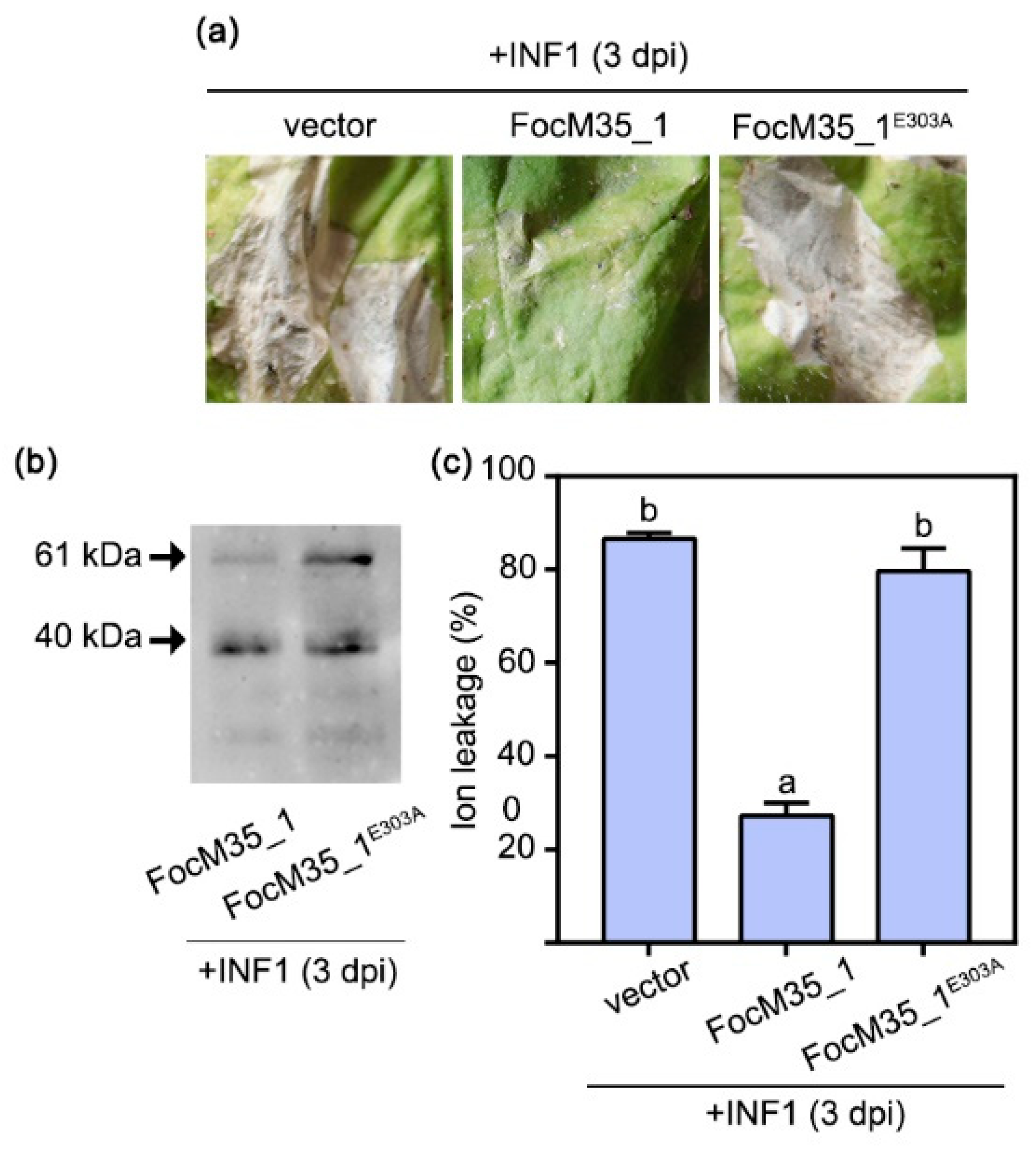 Pathogens 10 00670 g006