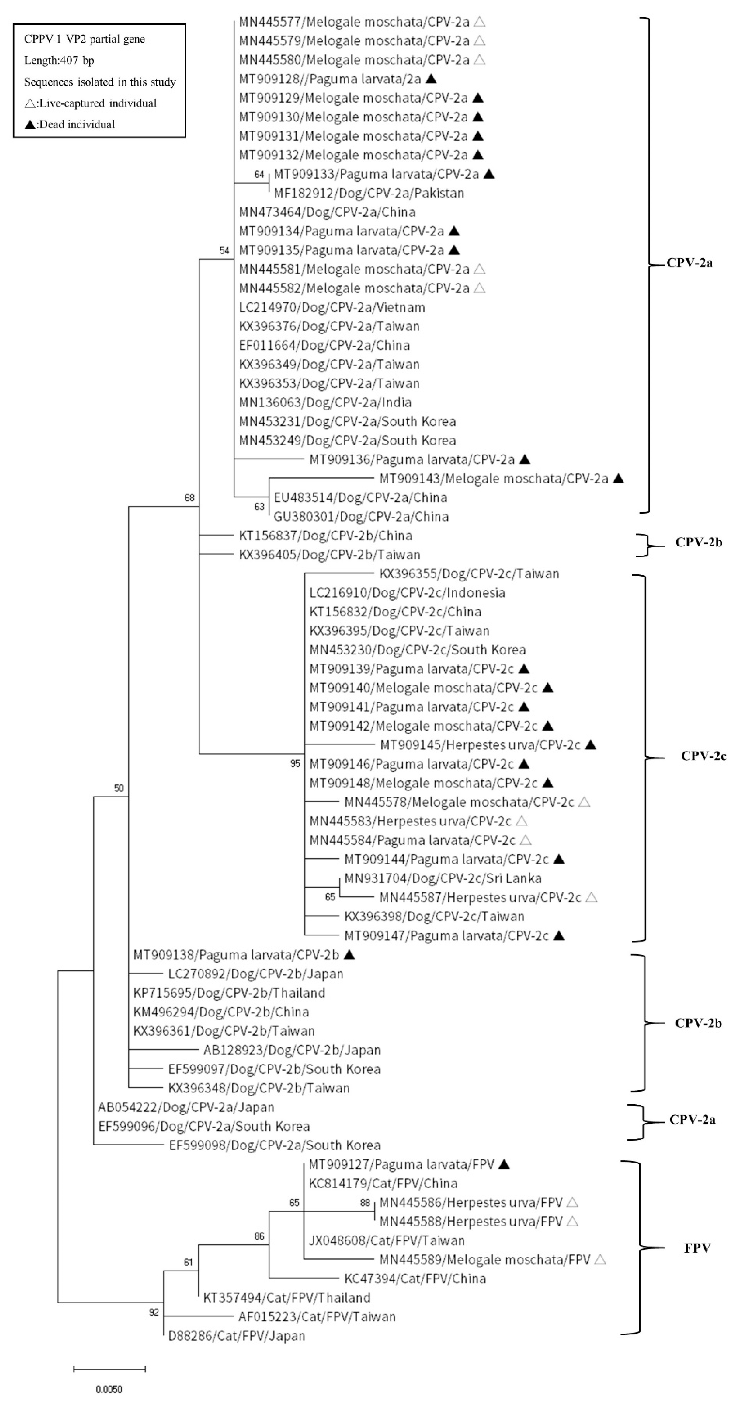 Pathogens 10 00671 g002