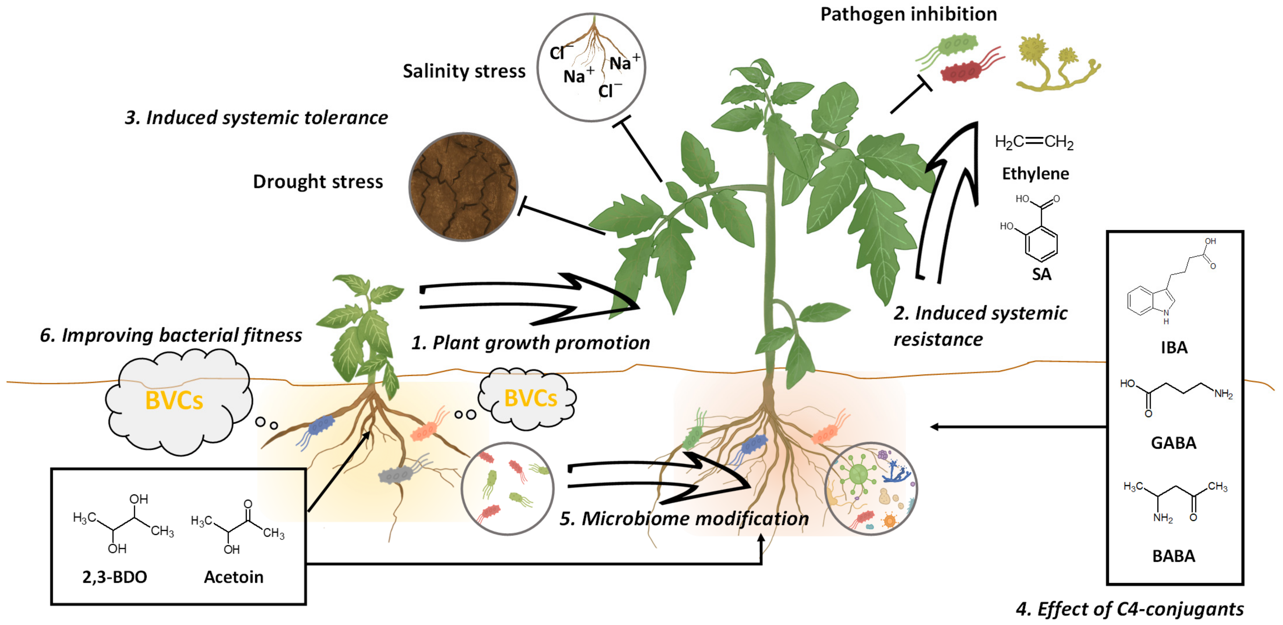Pathogens 10 00682 g001 Pathogens 10 00682 g001
