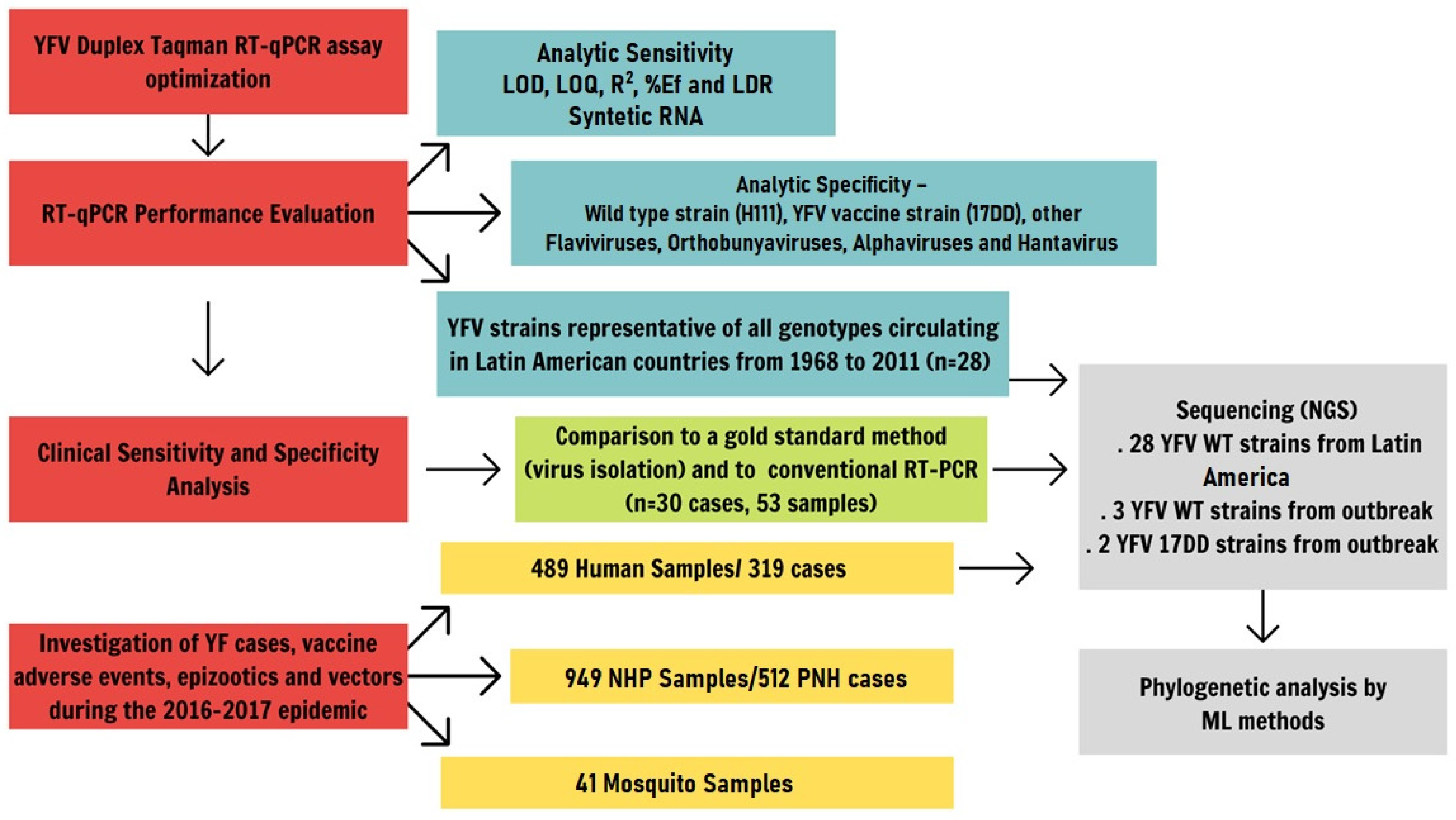 Pathogens 10 00693 g005
