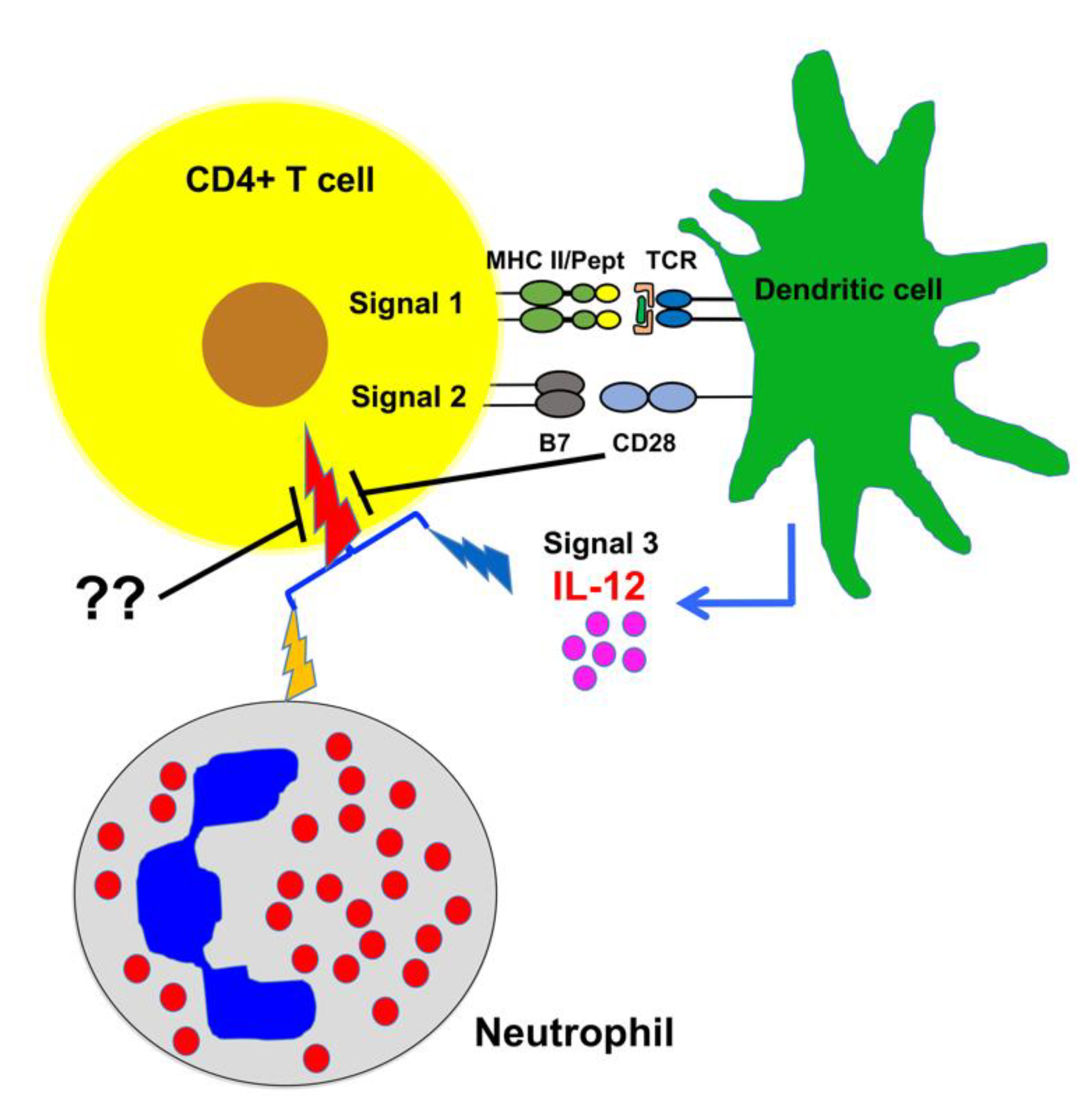 Pathogens 10 00694 g007