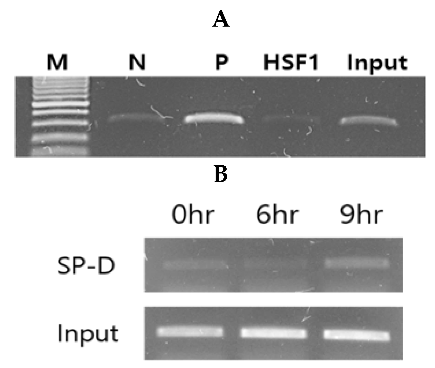 Pathogens 10 00709 g005