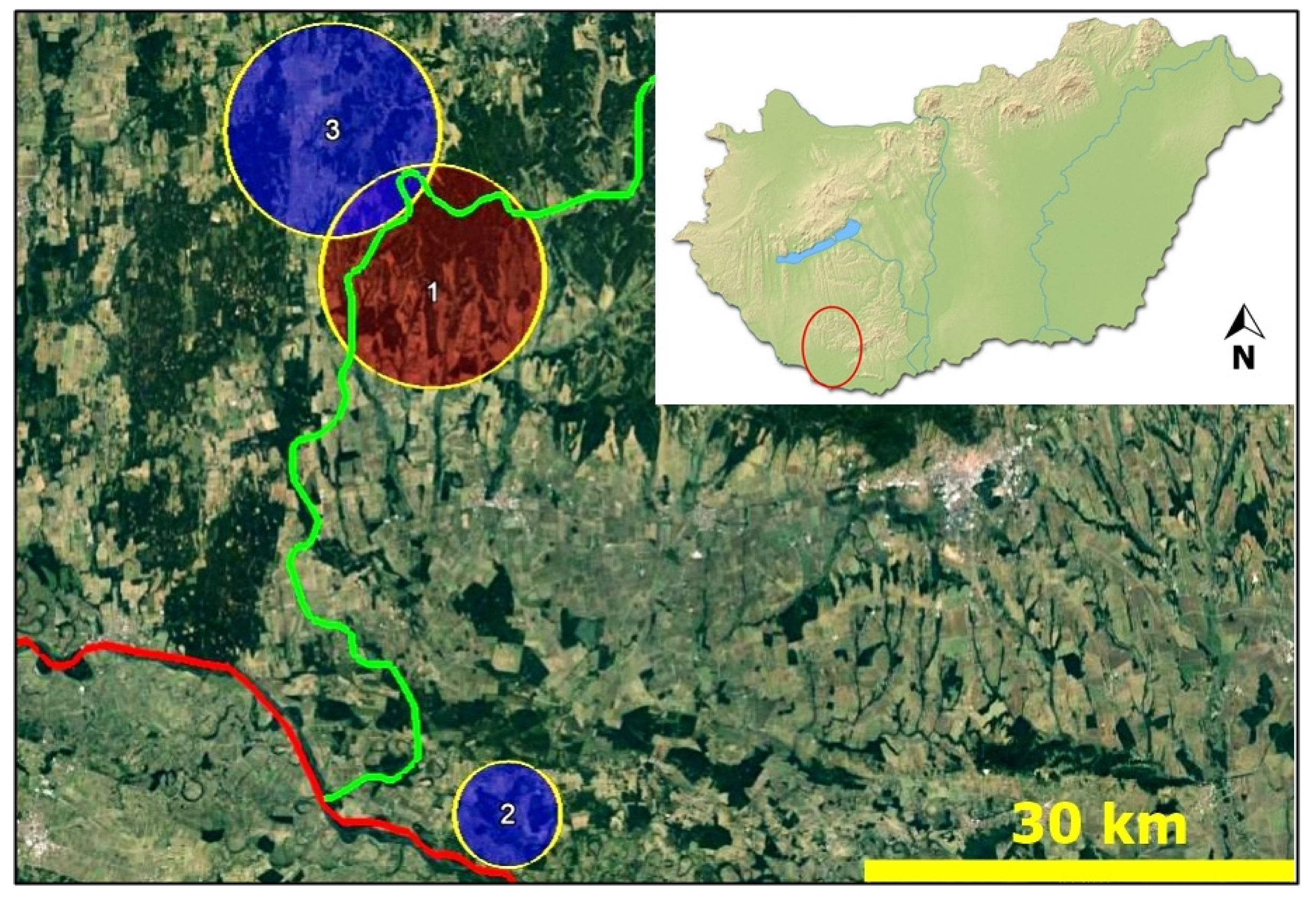Pathogens 10 00715 g004