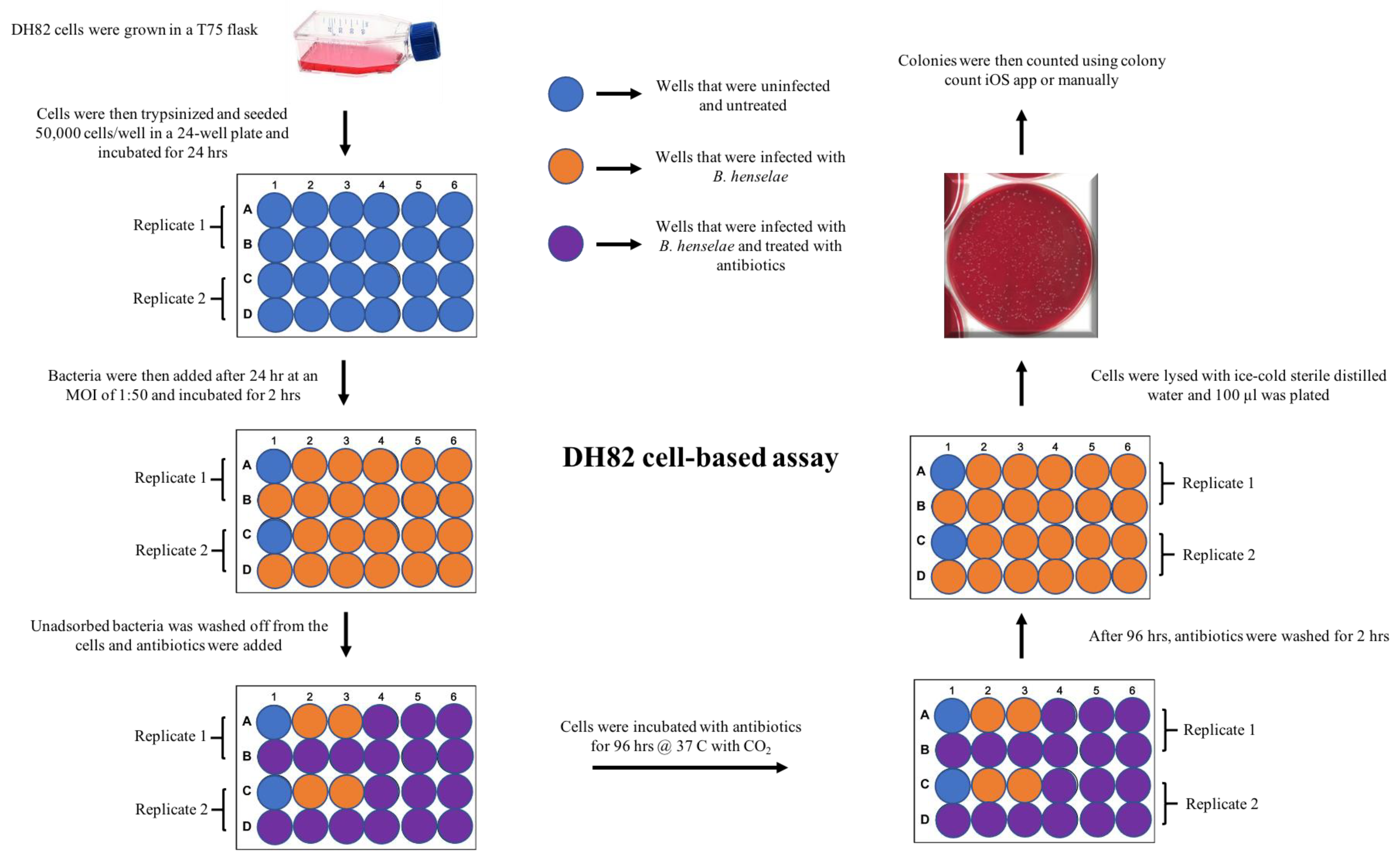 Pathogens 10 00718 g002 Pathogens 10 00718 g002
