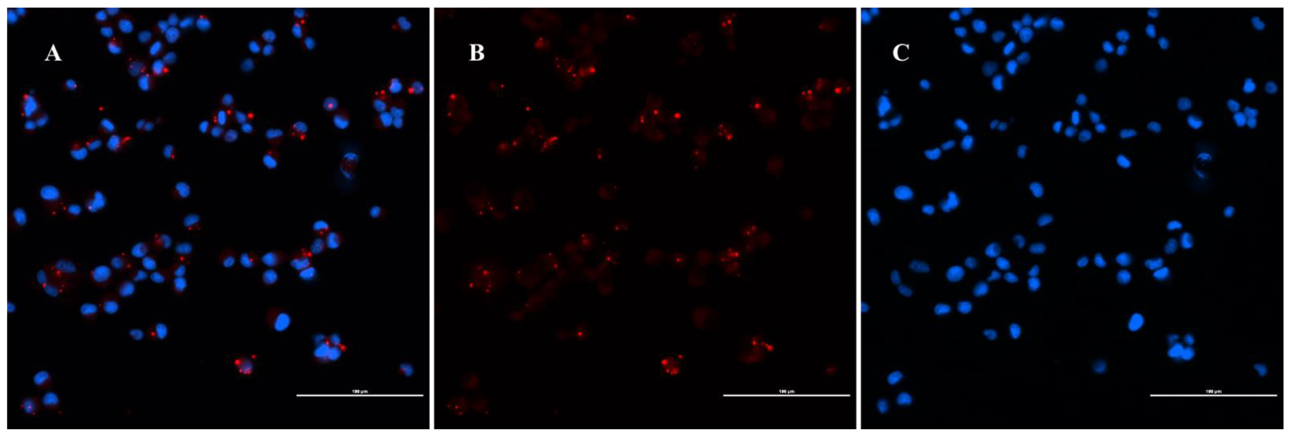 Pathogens 10 00718 g003 Pathogens 10 00718 g003