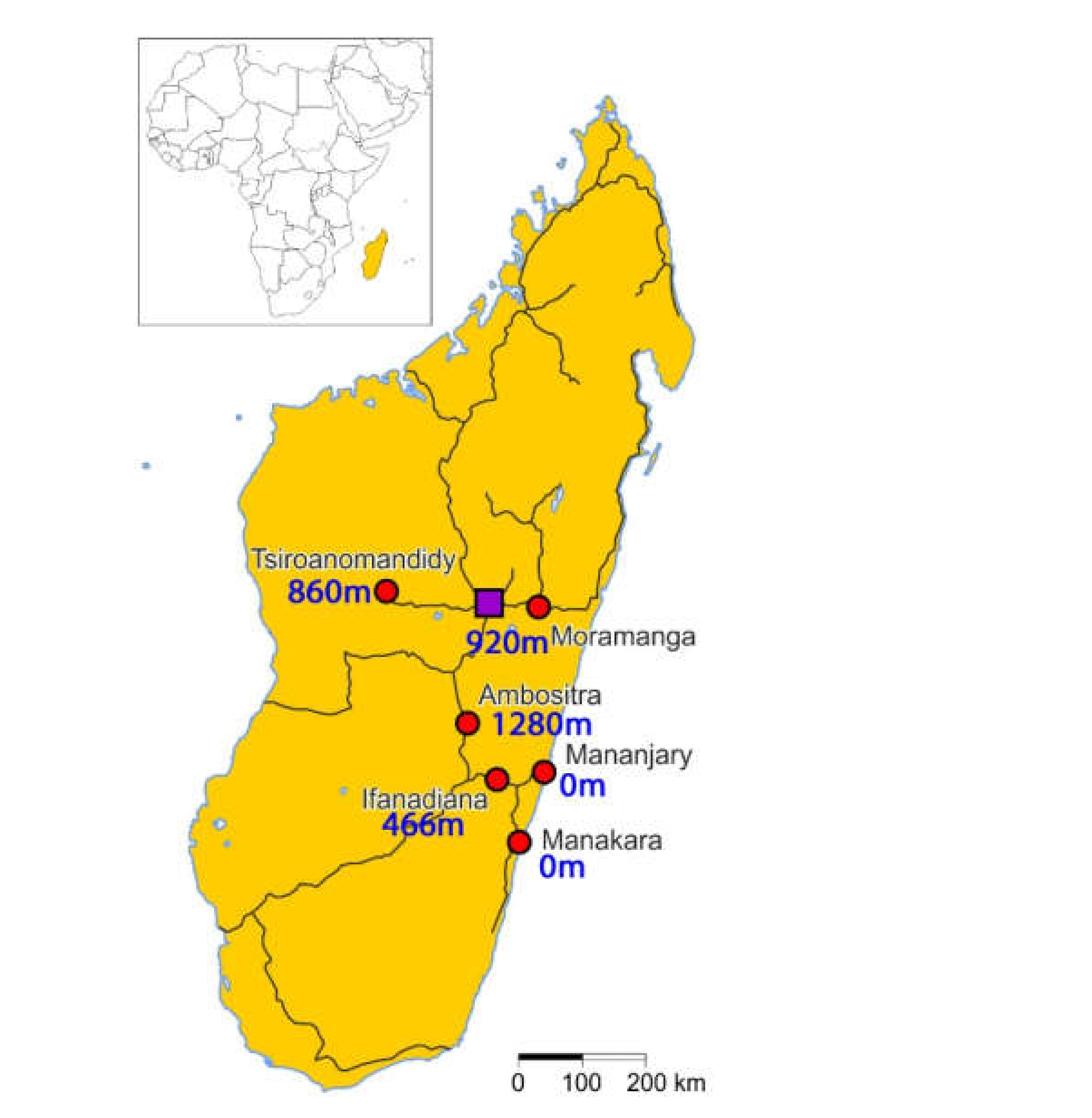 Pathogens 10 00722 g001