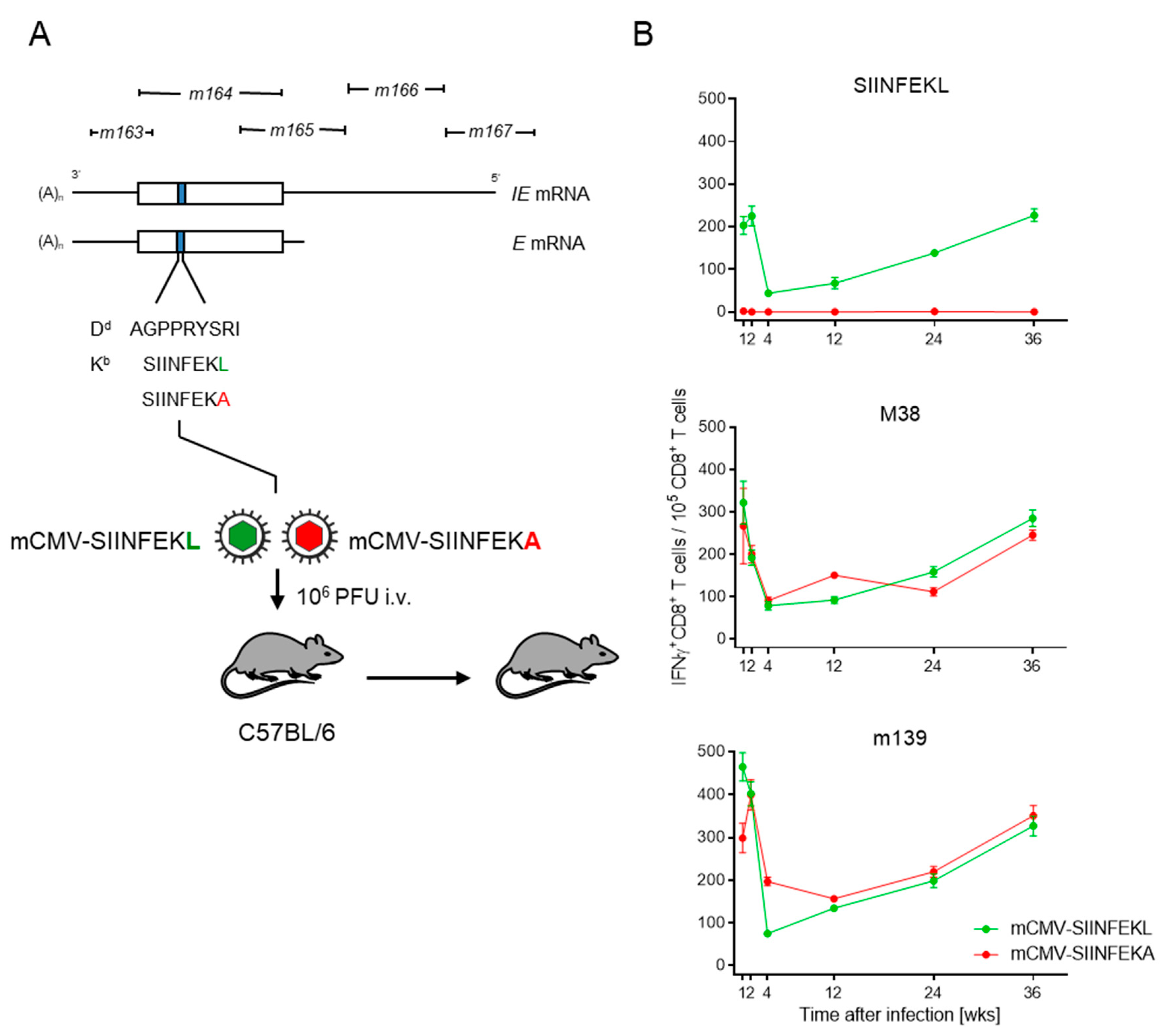 Pathogens 10 00731 g001 Pathogens 10 00731 g001