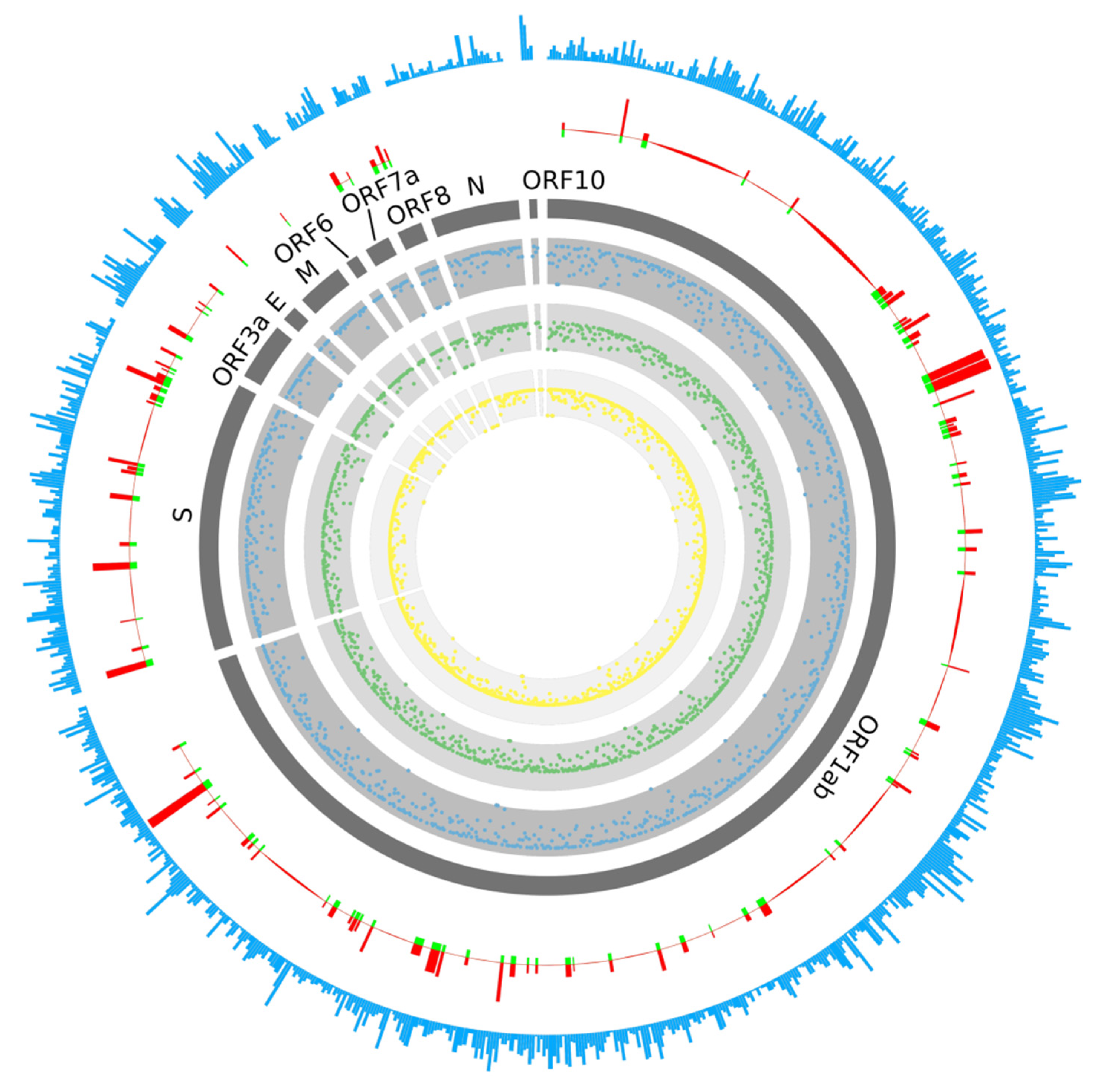 Pathogens 10 00737 g001