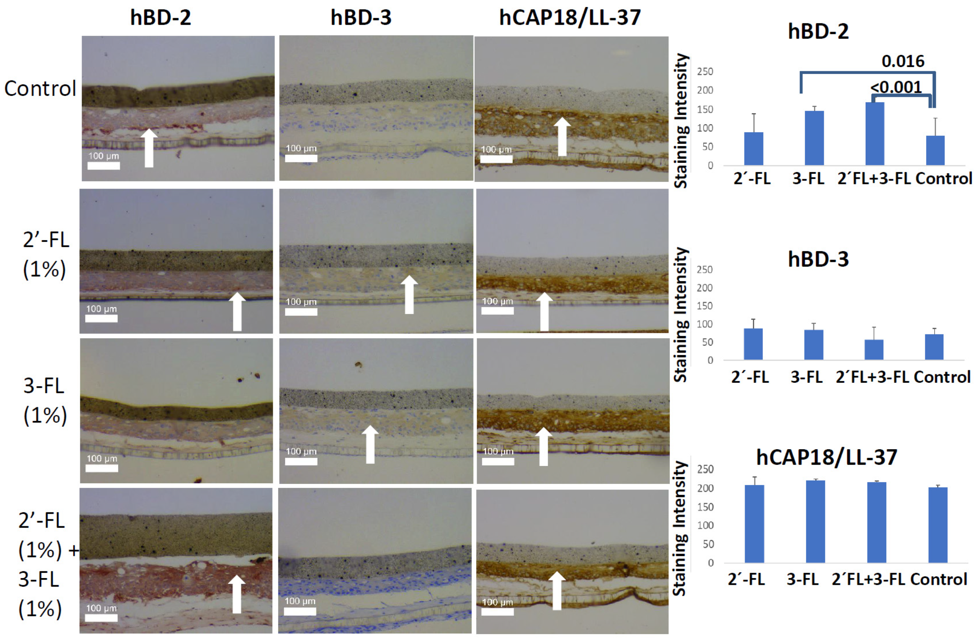 Pathogens 10 00739 g001 Pathogens 10 00739 g001